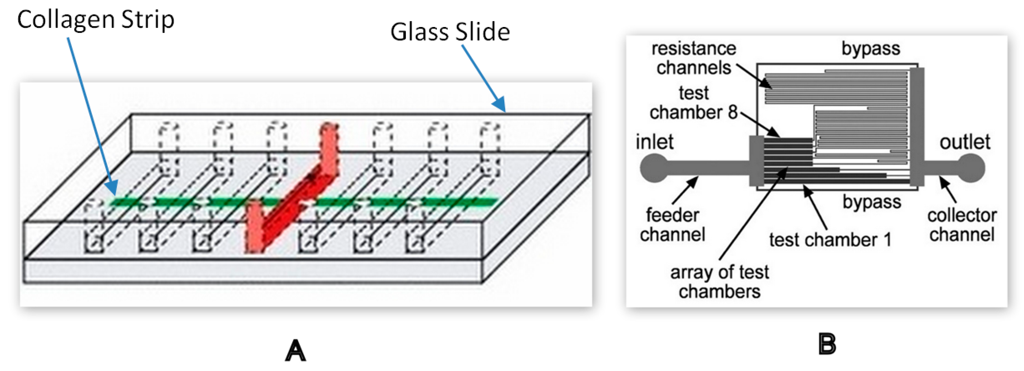 Molecules 25 00833 g005 Molecules 25 00833 g005