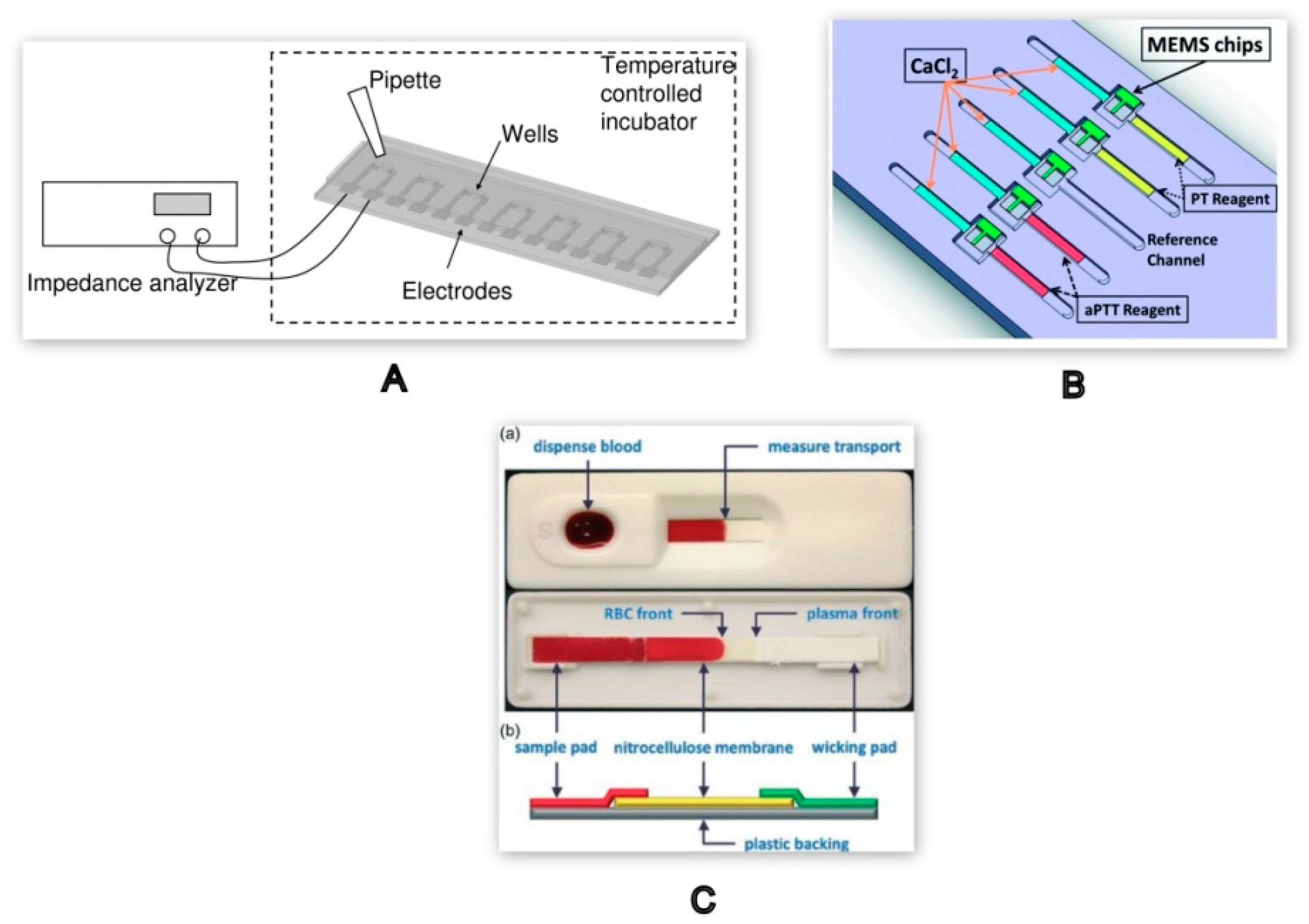 Molecules 25 00833 g006 Molecules 25 00833 g006