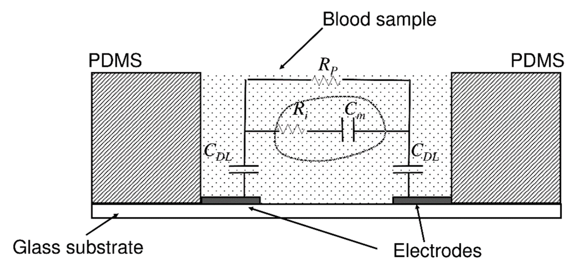 Molecules 25 00833 g007 Molecules 25 00833 g007