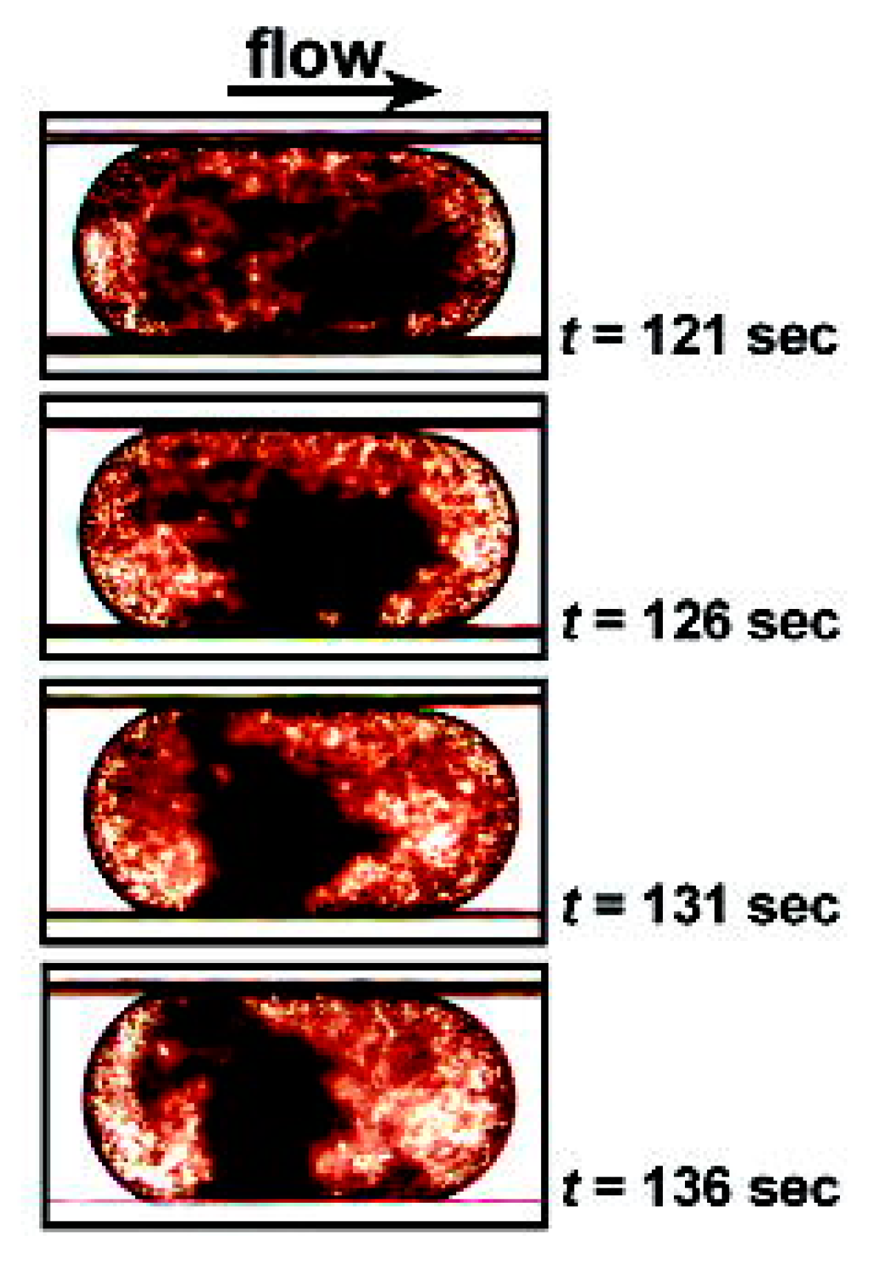 Molecules 25 00833 g008 Molecules 25 00833 g008