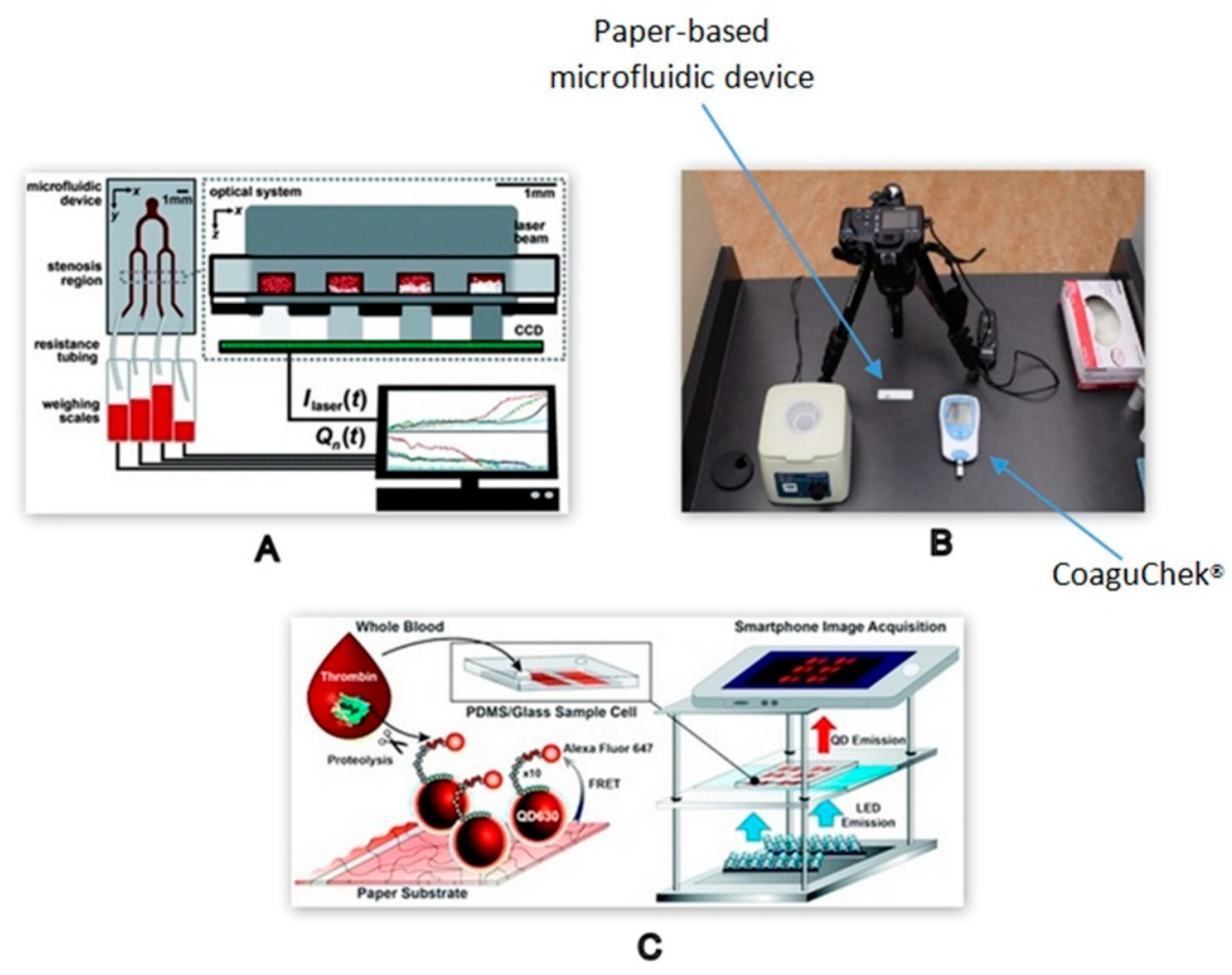 Molecules 25 00833 g009 Molecules 25 00833 g009