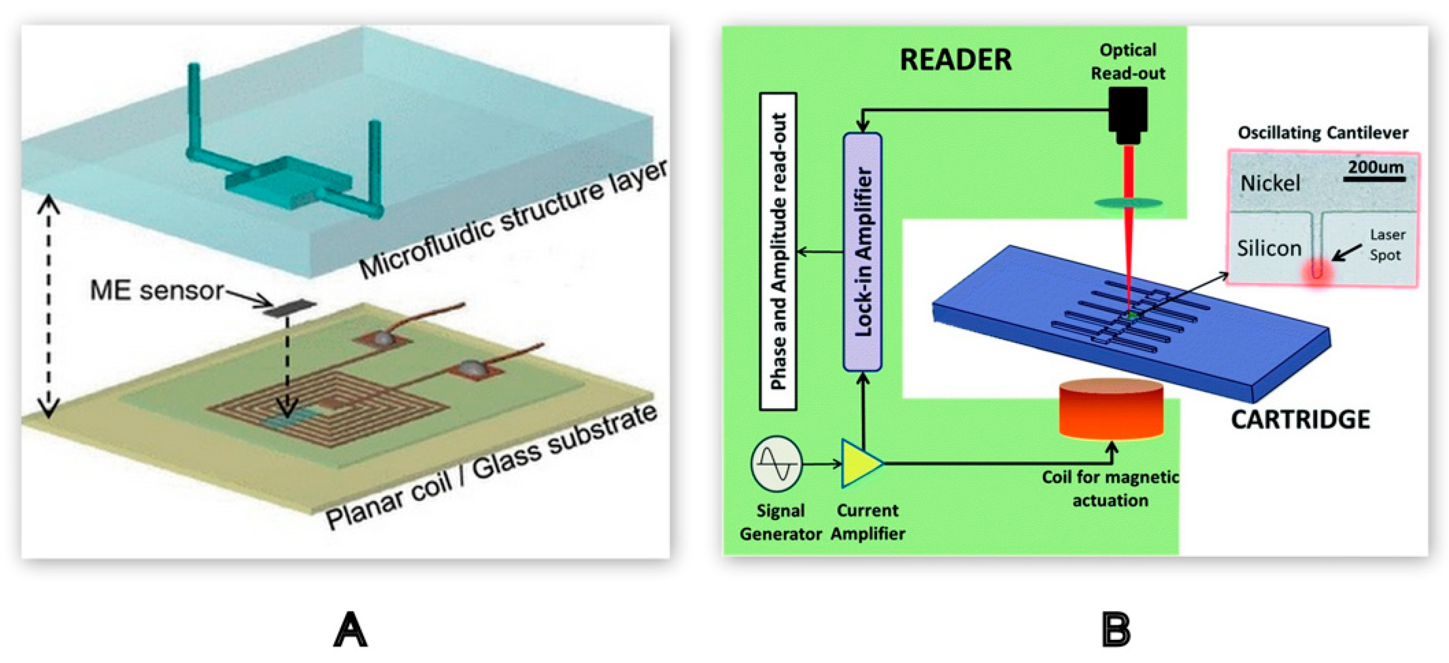 Molecules 25 00833 g010 Molecules 25 00833 g010