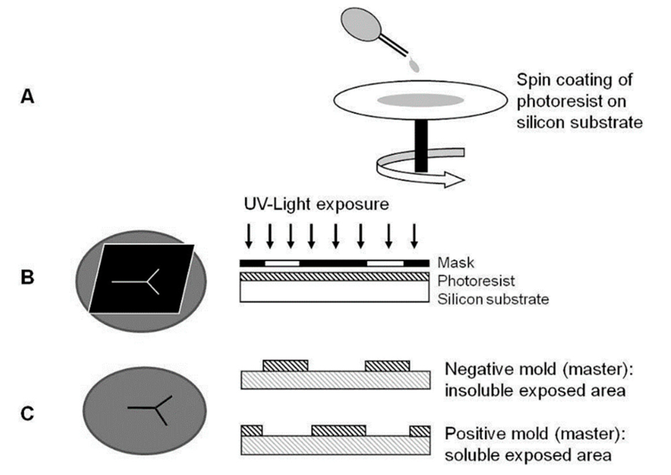 Molecules 25 00833 g011 Molecules 25 00833 g011
