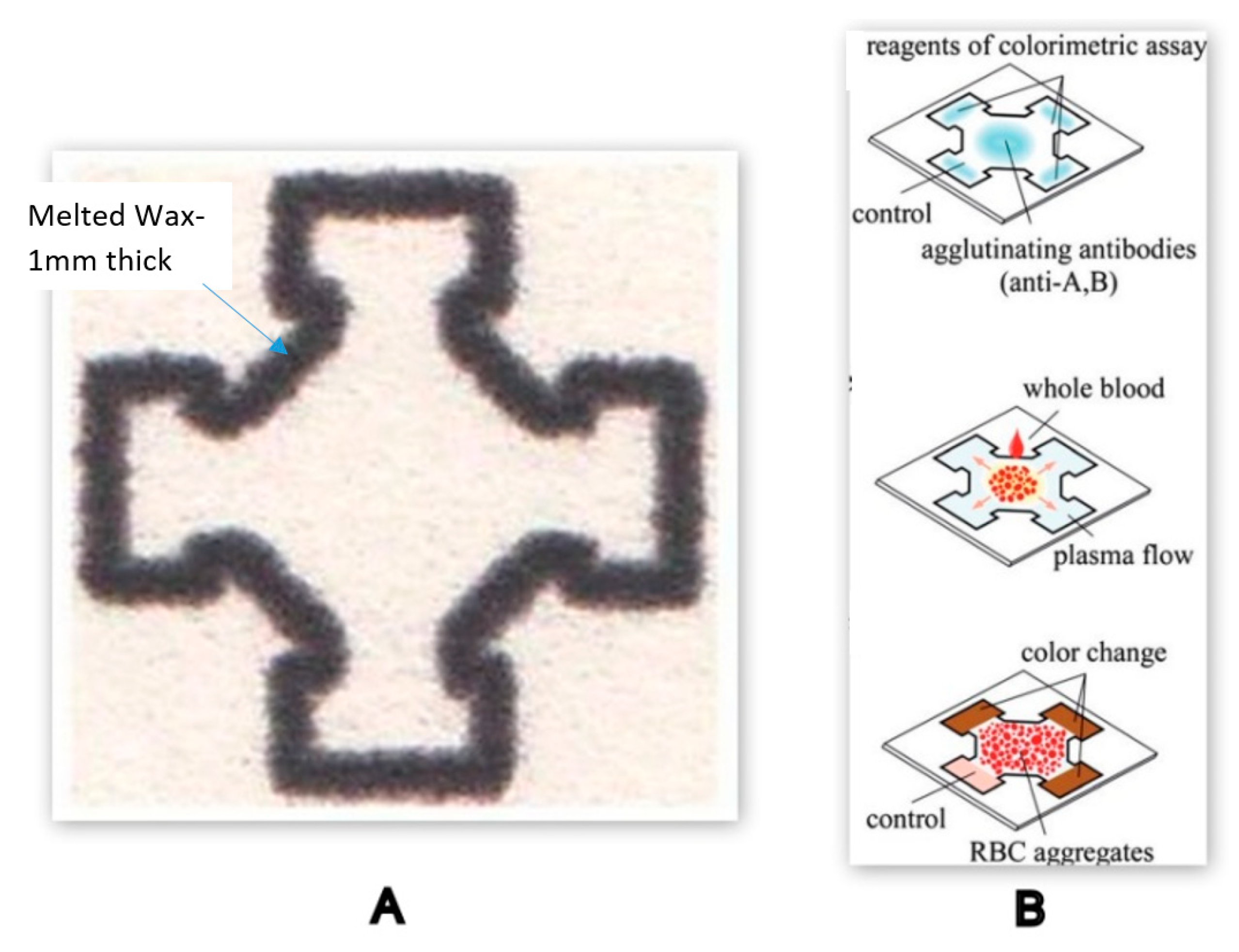 Molecules 25 00833 g014 Molecules 25 00833 g014