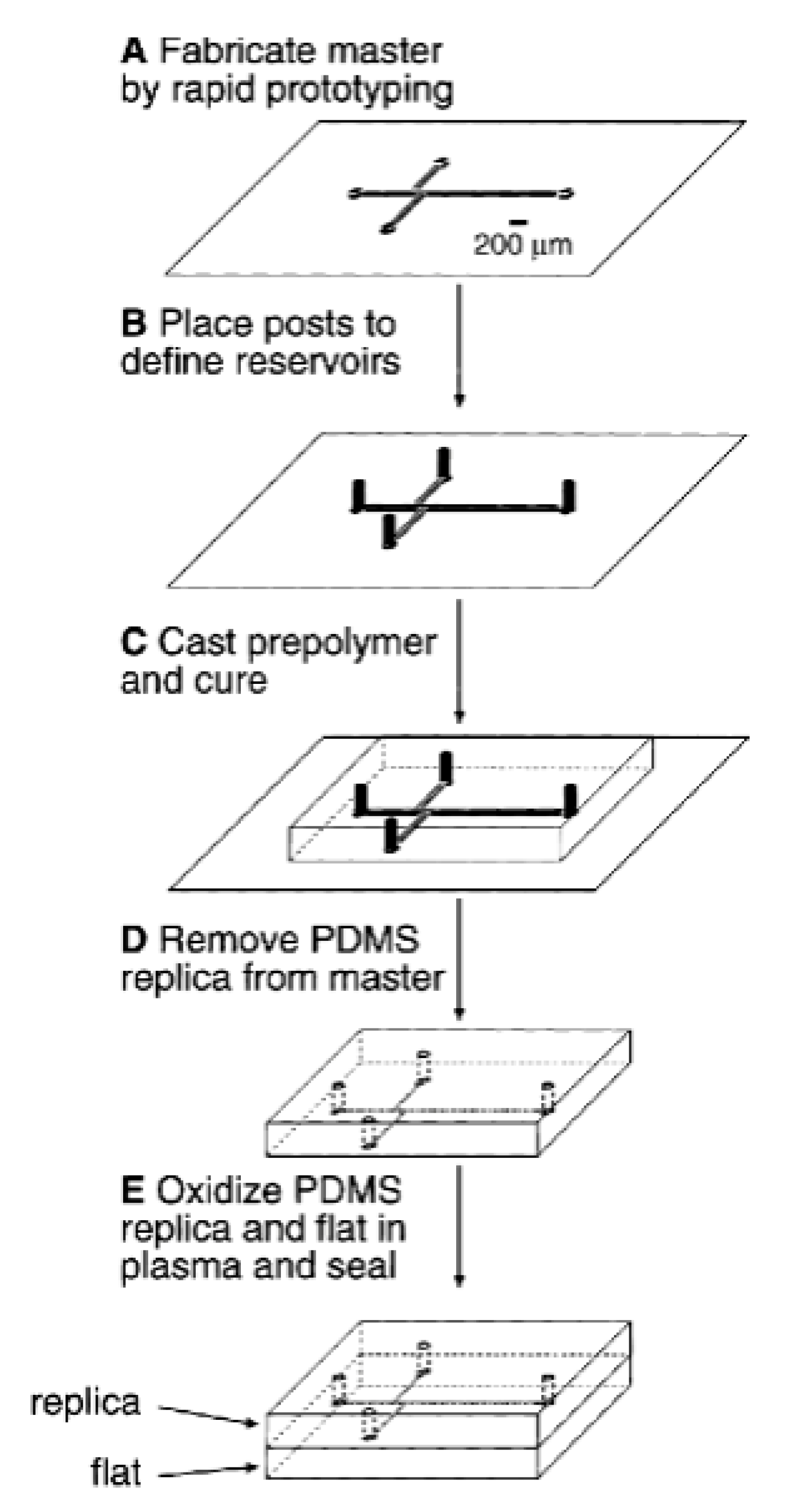 Molecules 25 00833 g015 Molecules 25 00833 g015