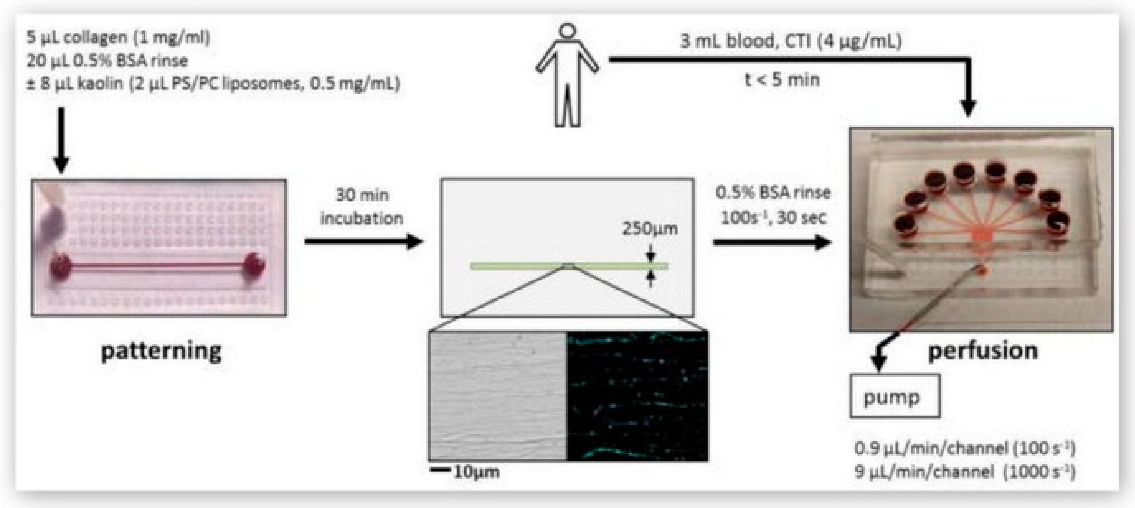Molecules 25 00833 g016 Molecules 25 00833 g016