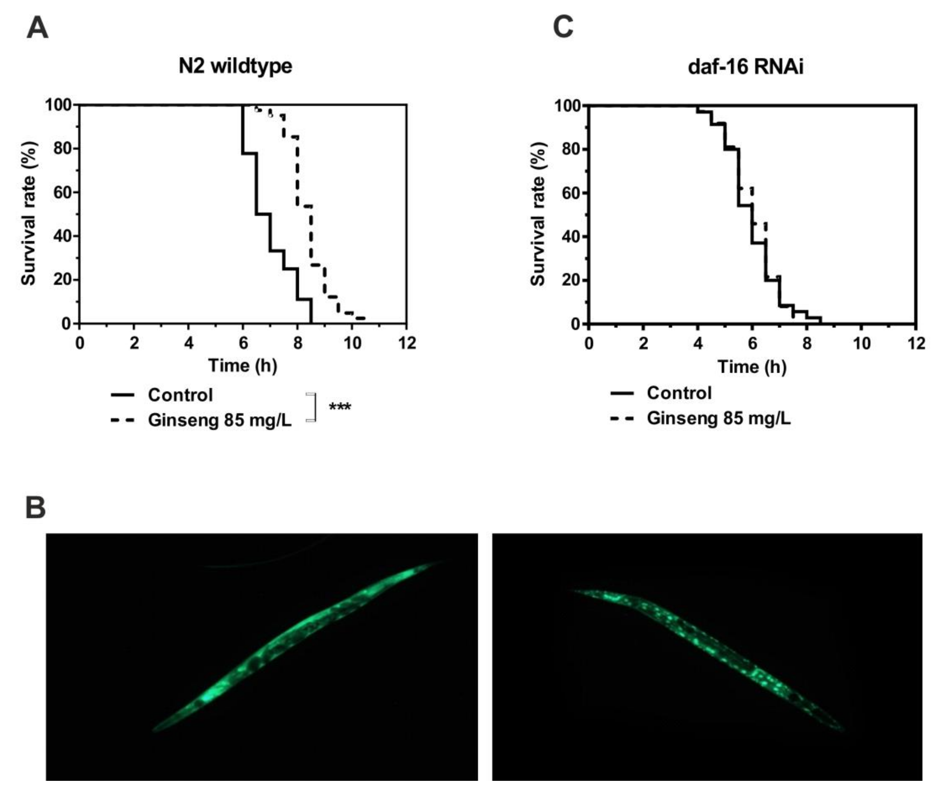 Molecules 25 00835 g005 Molecules 25 00835 g005