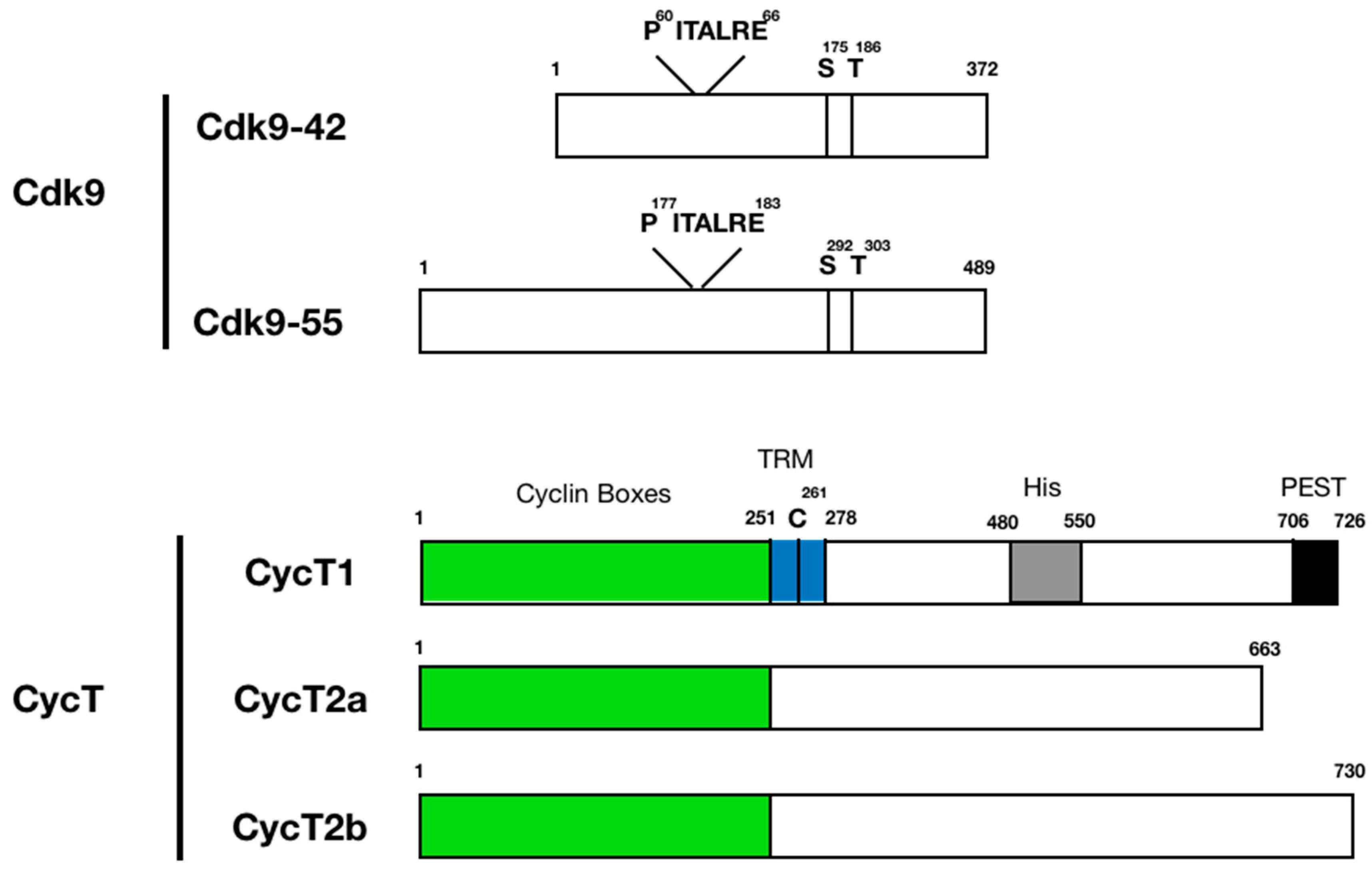 Molecules 25 00838 g001