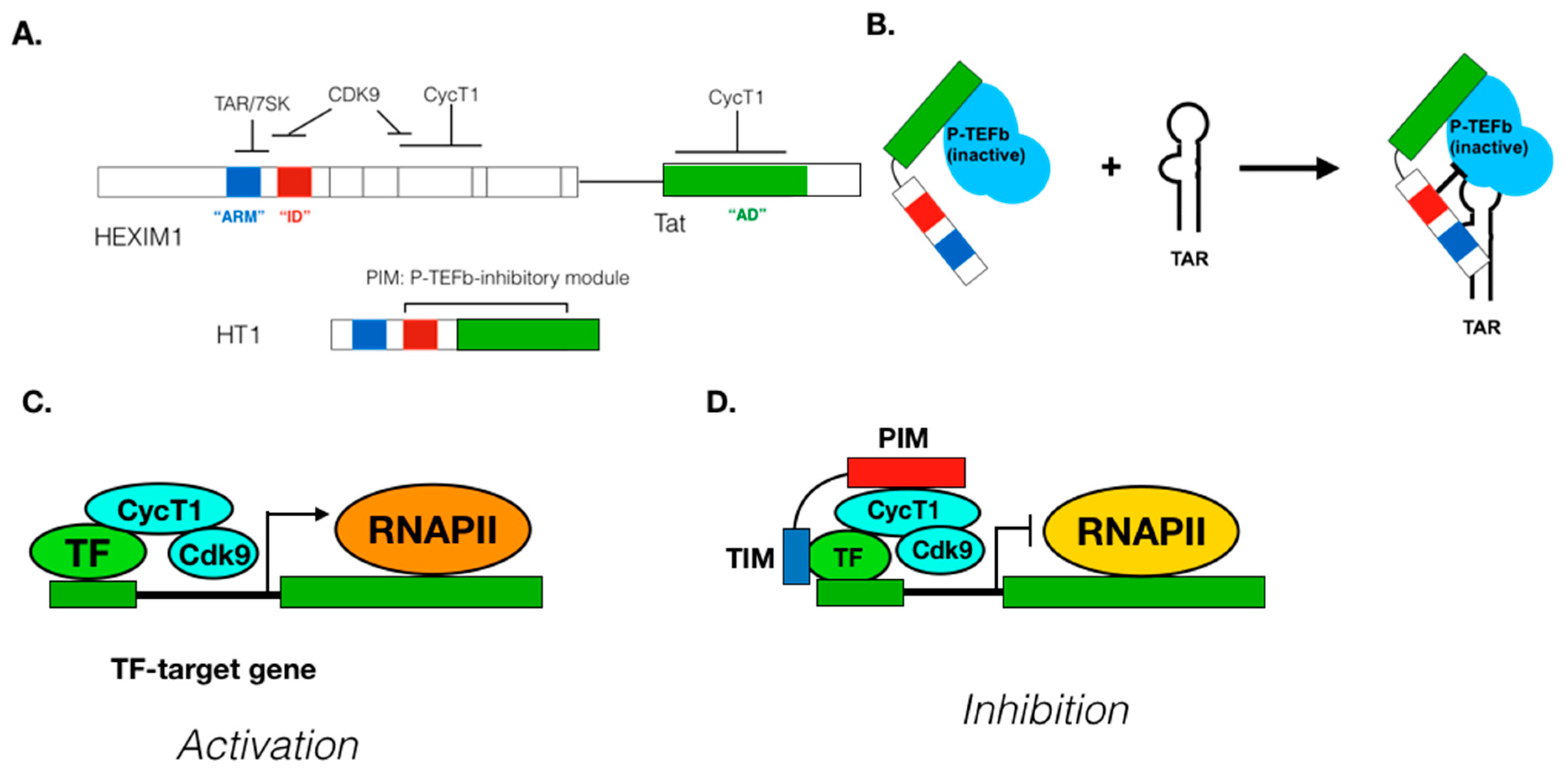 Molecules 25 00838 g004