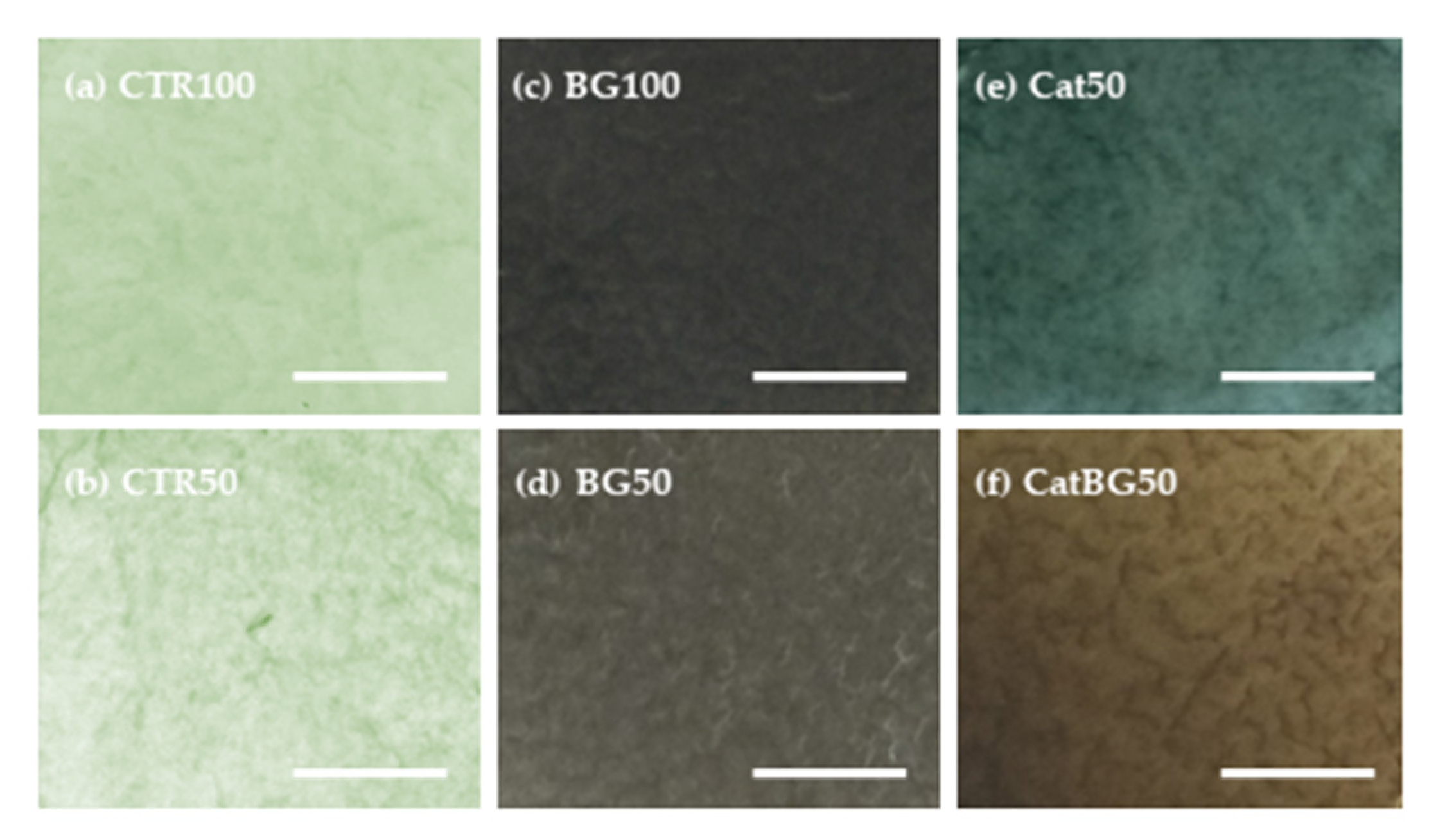 Molecules 25 00840 g004 Molecules 25 00840 g004
