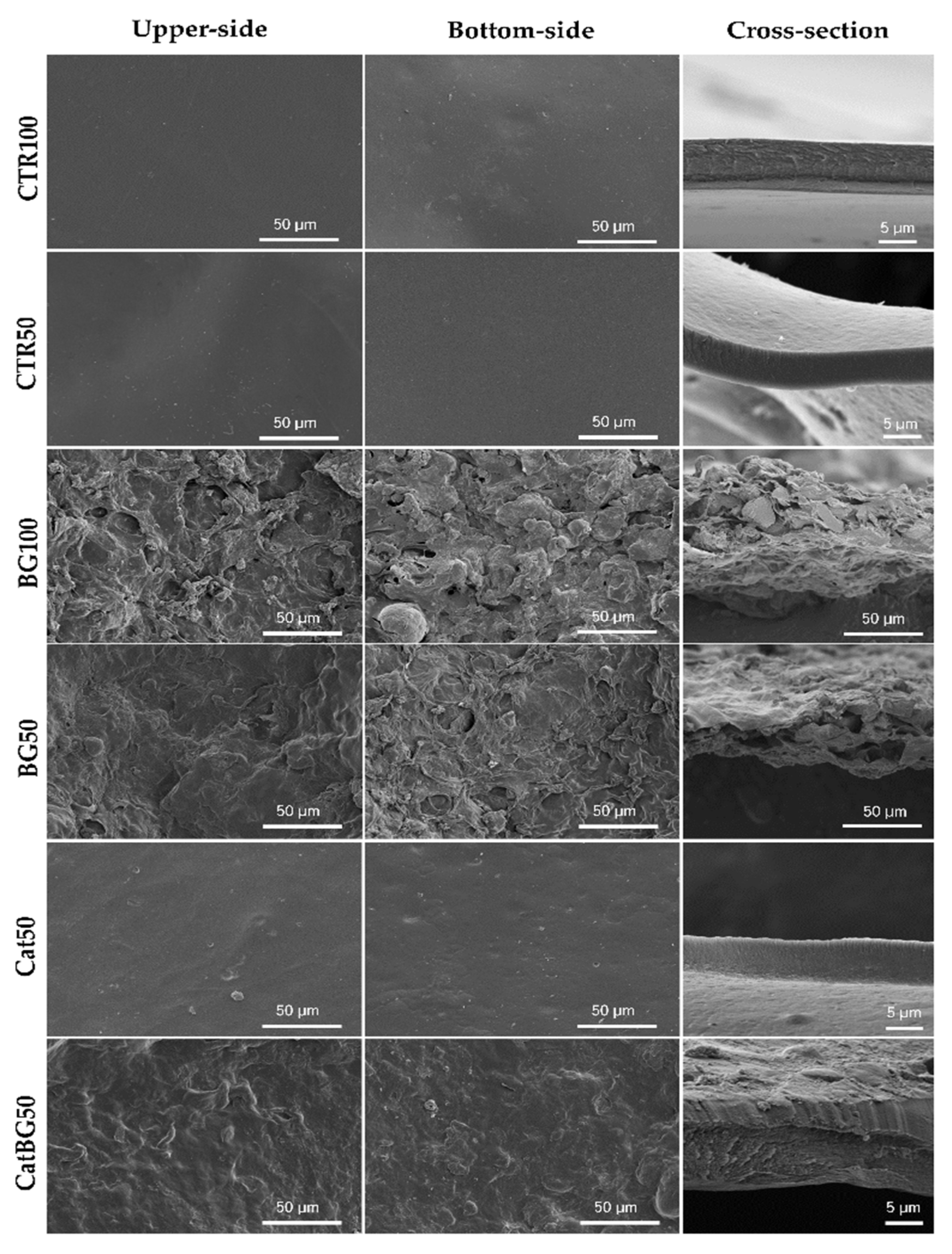 Molecules 25 00840 g005 Molecules 25 00840 g005