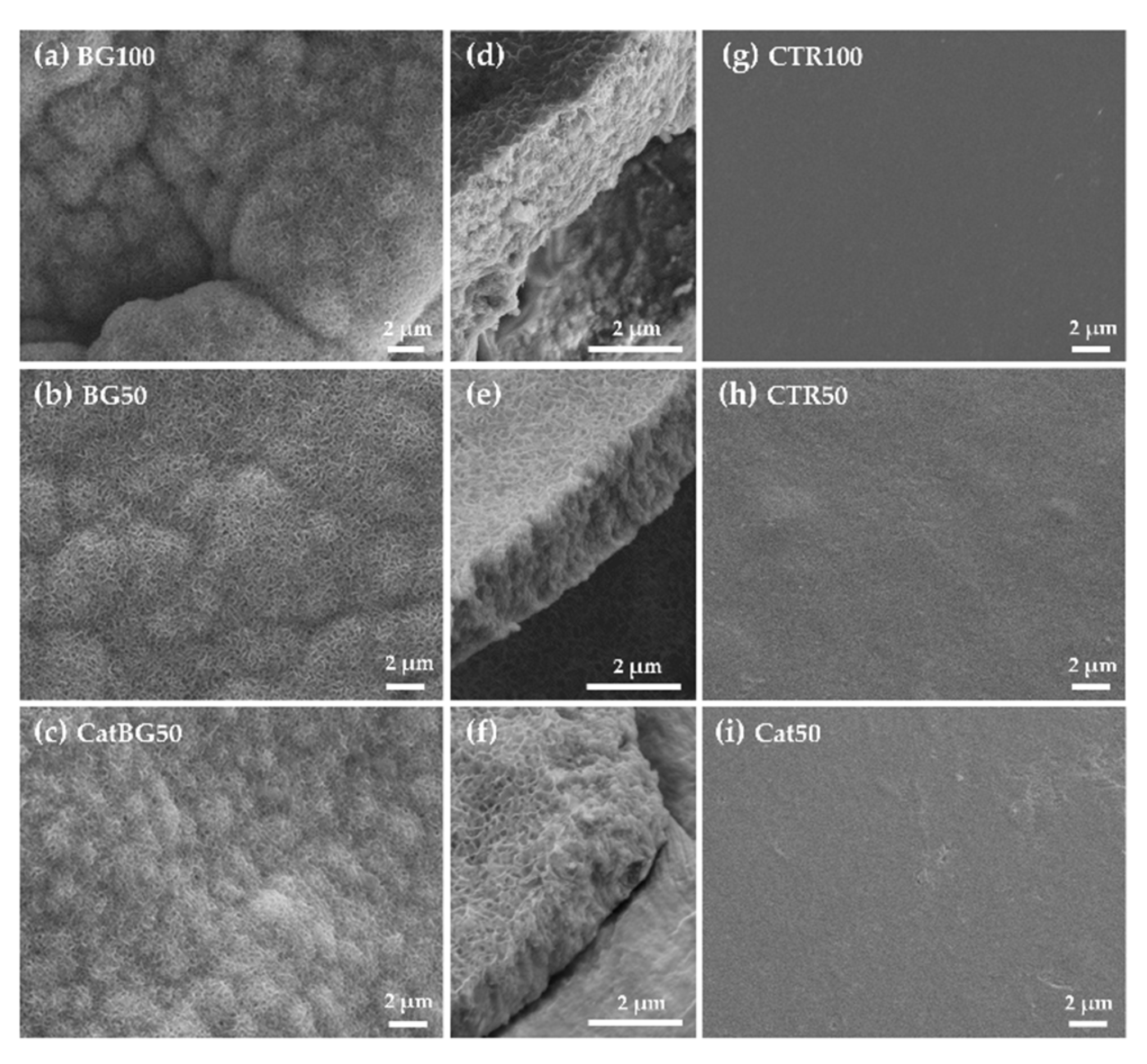 Molecules 25 00840 g013 Molecules 25 00840 g013