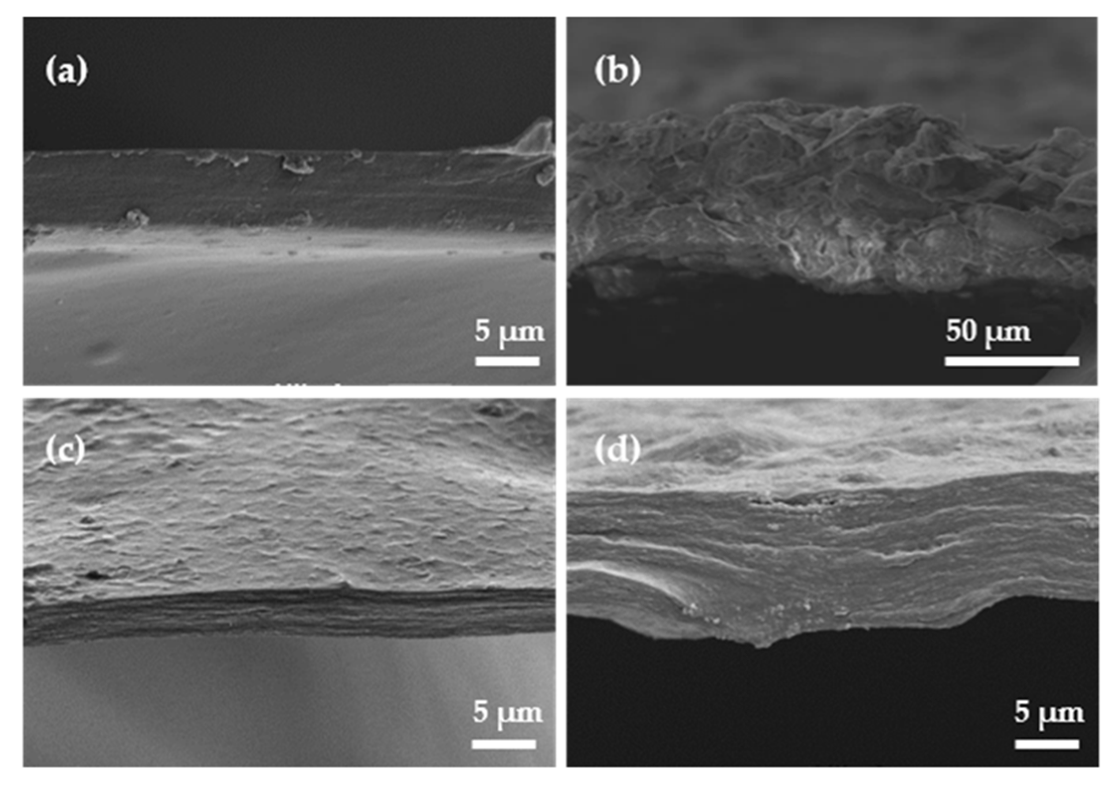 Molecules 25 00840 g0a3 Molecules 25 00840 g0a3