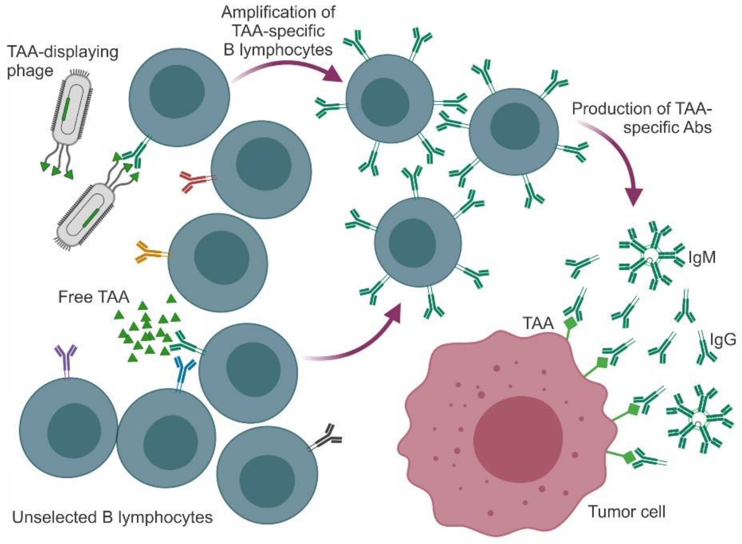 Molecules 25 00843 g001 Molecules 25 00843 g001