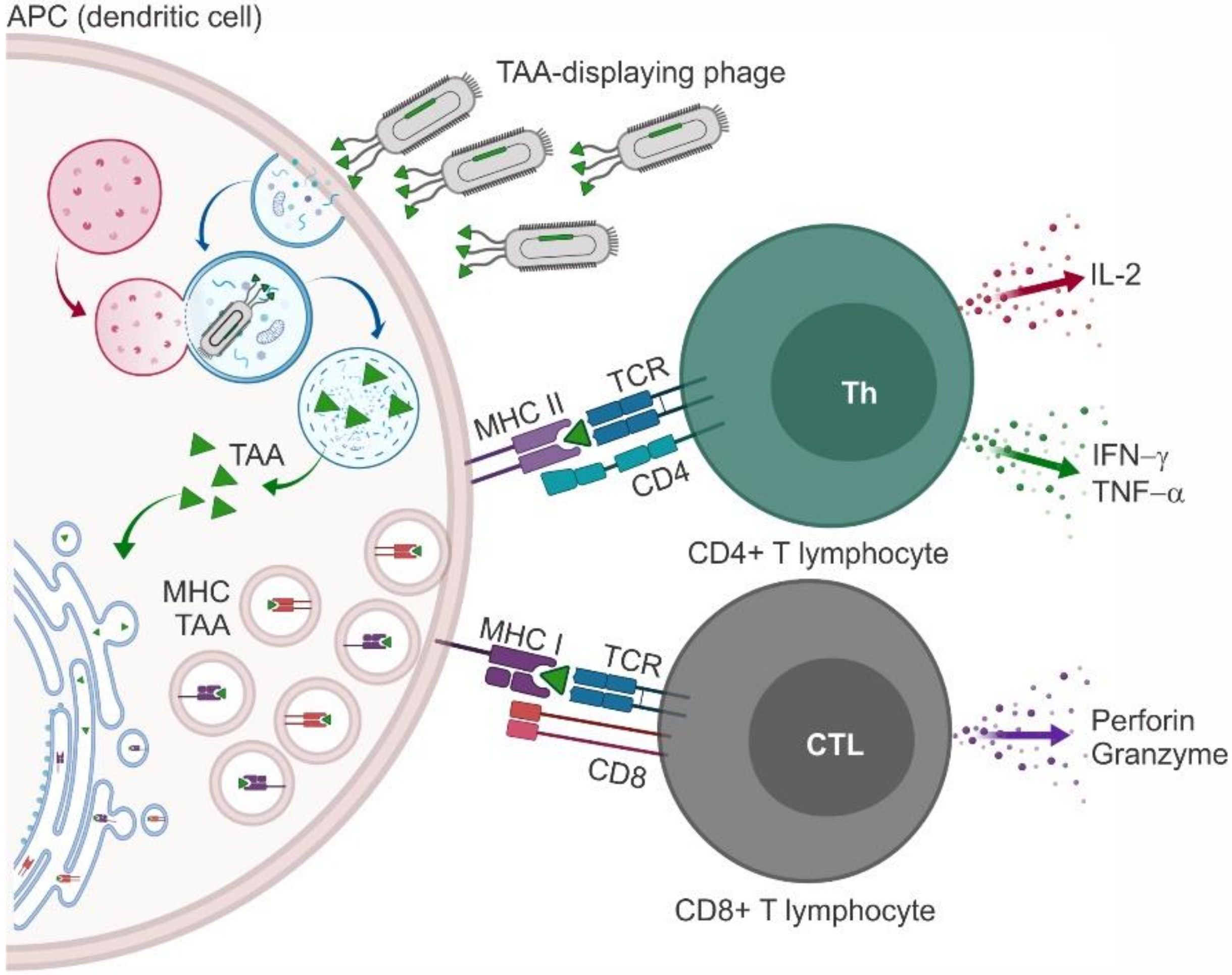 Molecules 25 00843 g002 Molecules 25 00843 g002