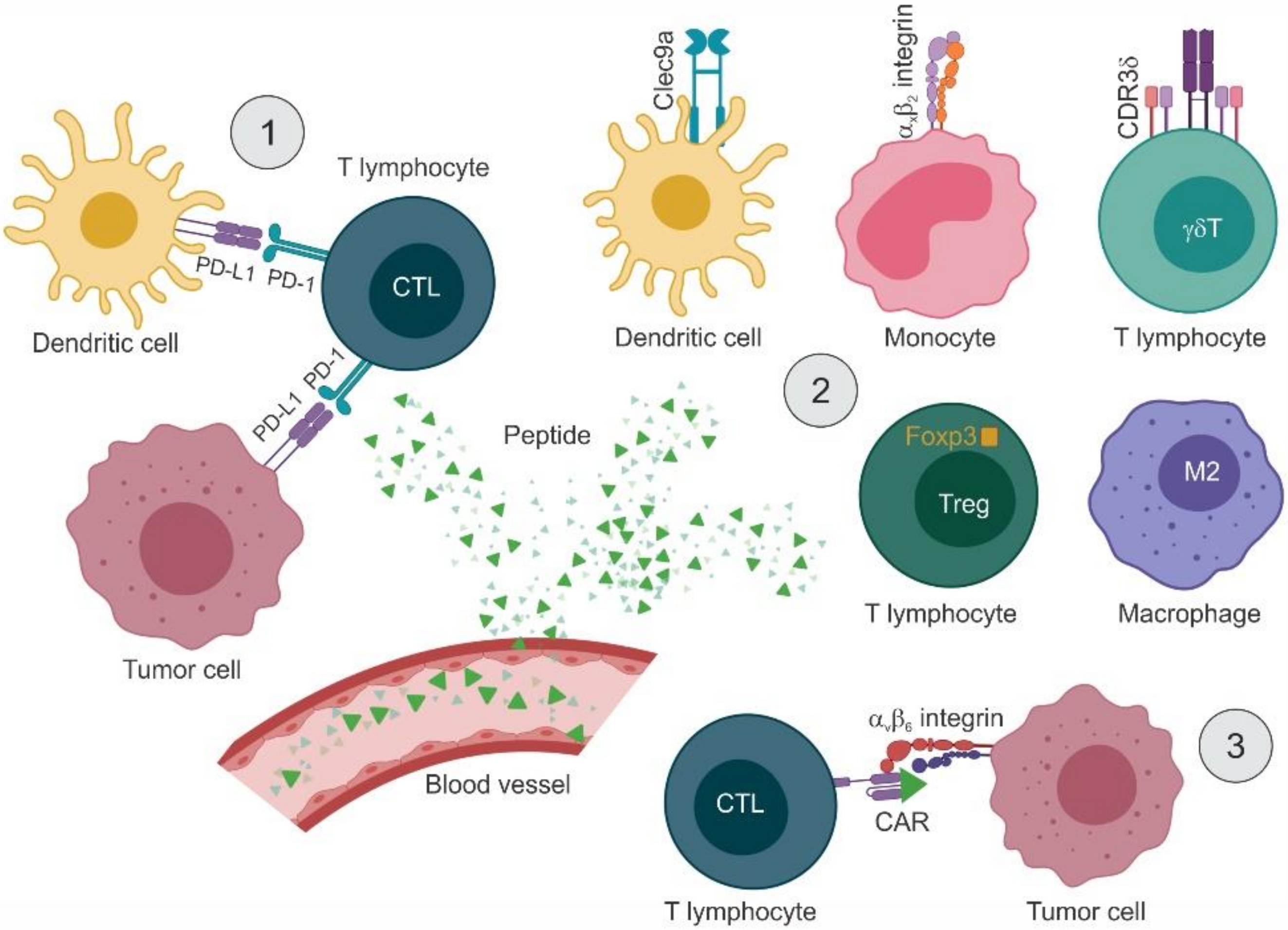 Molecules 25 00843 g003 Molecules 25 00843 g003