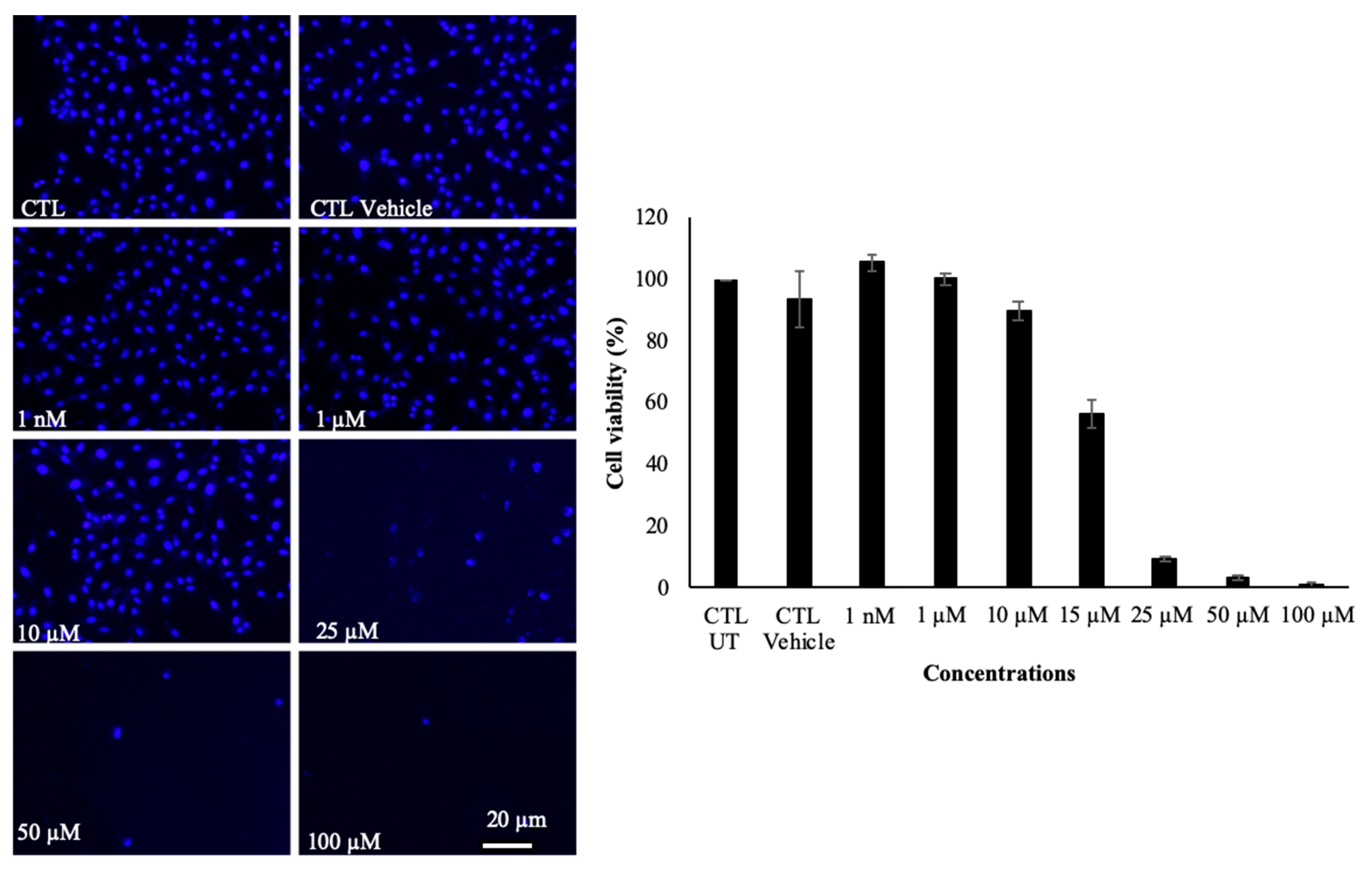 Molecules 25 00857 g004