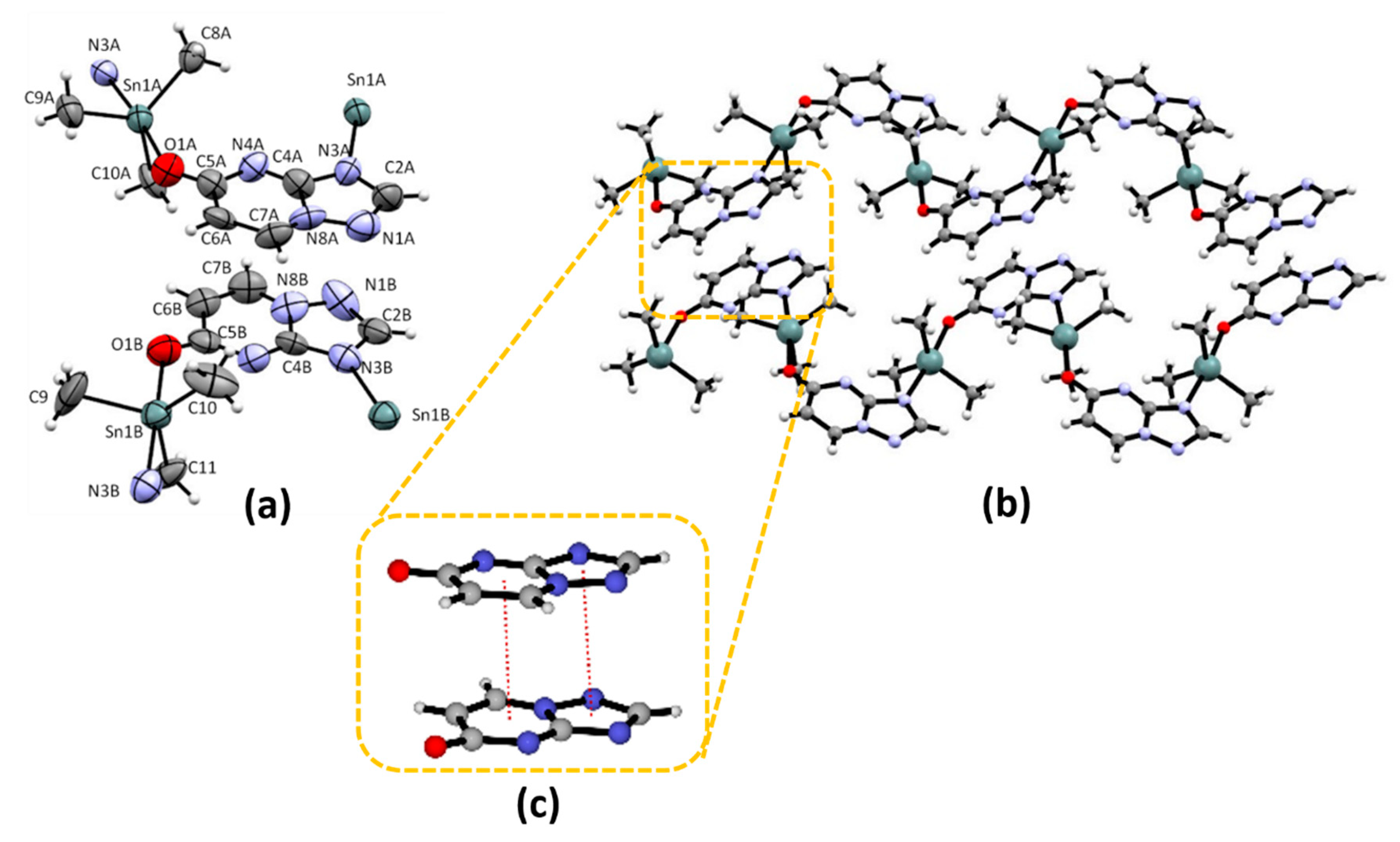 Molecules 25 00859 g001
