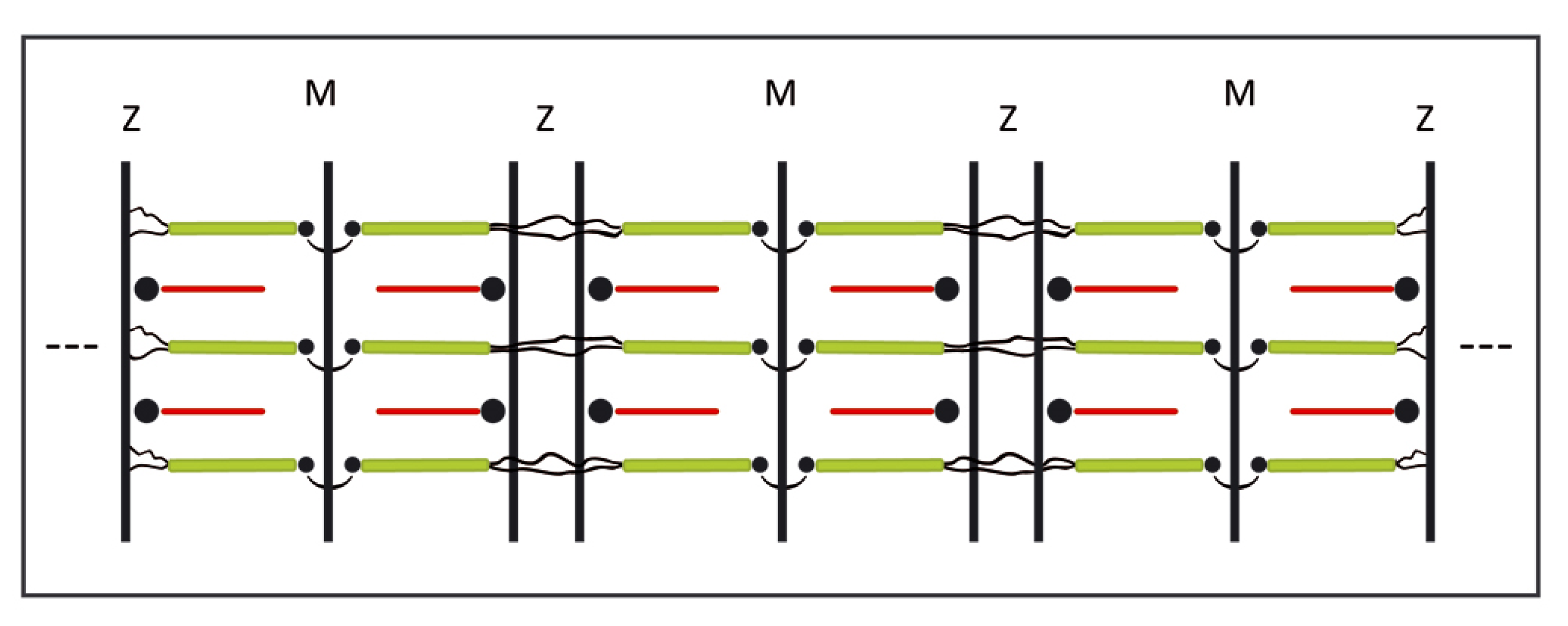 Molecules 25 00862 g001