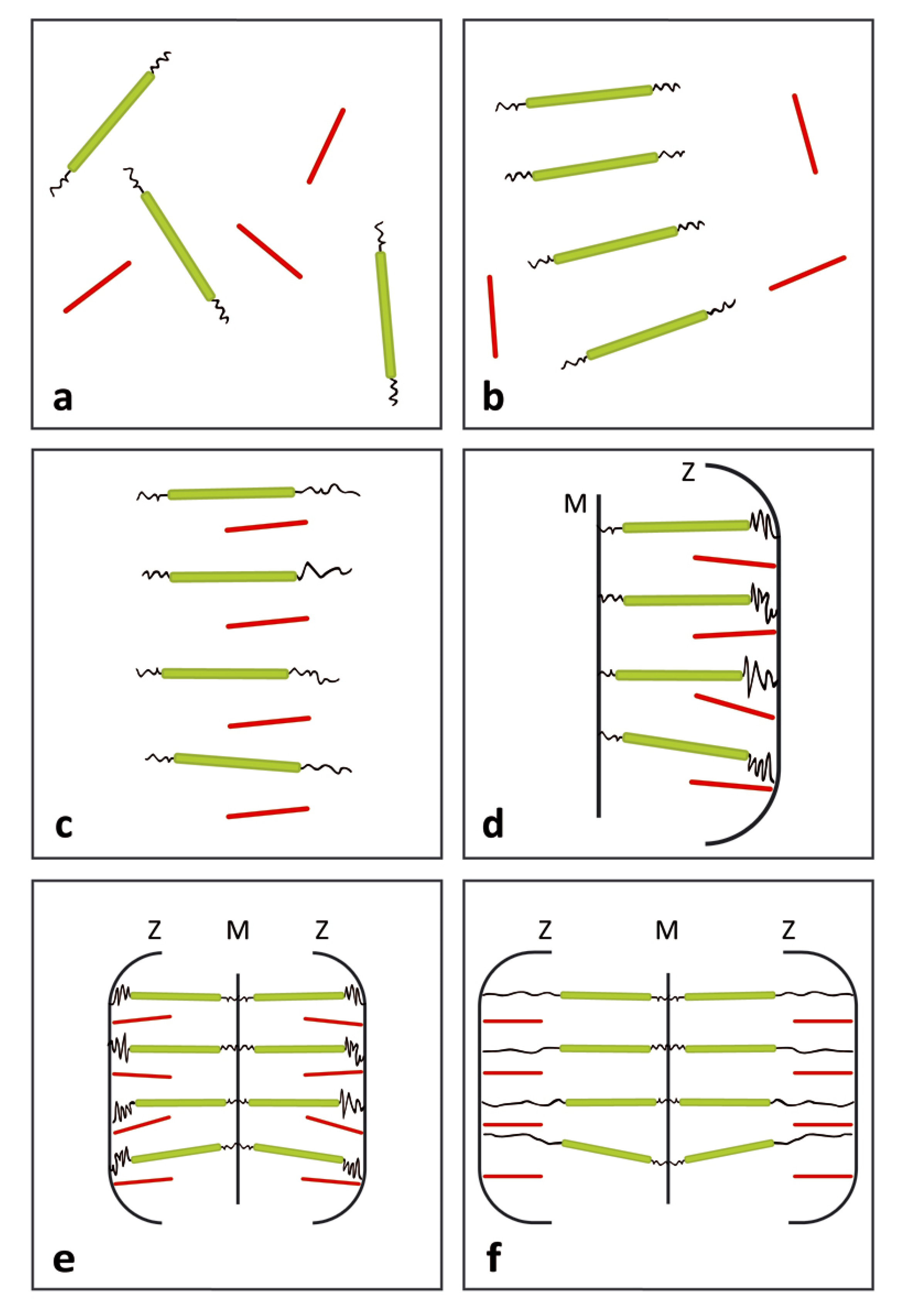 Molecules 25 00862 g002