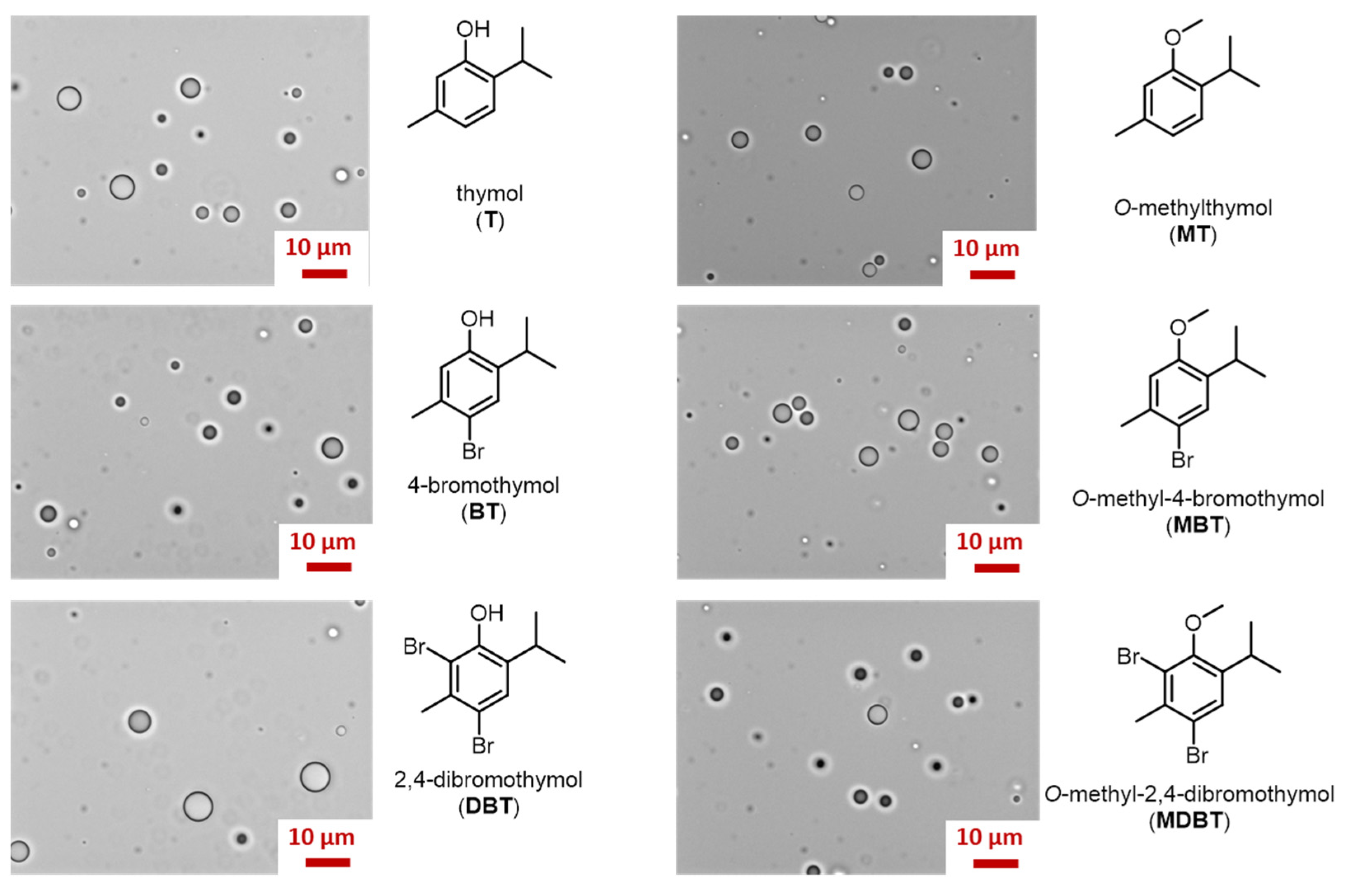 Molecules 25 00866 g002