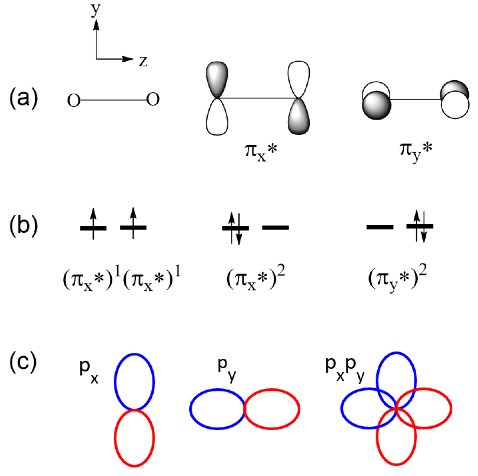 Molecules 25 00867 g003
