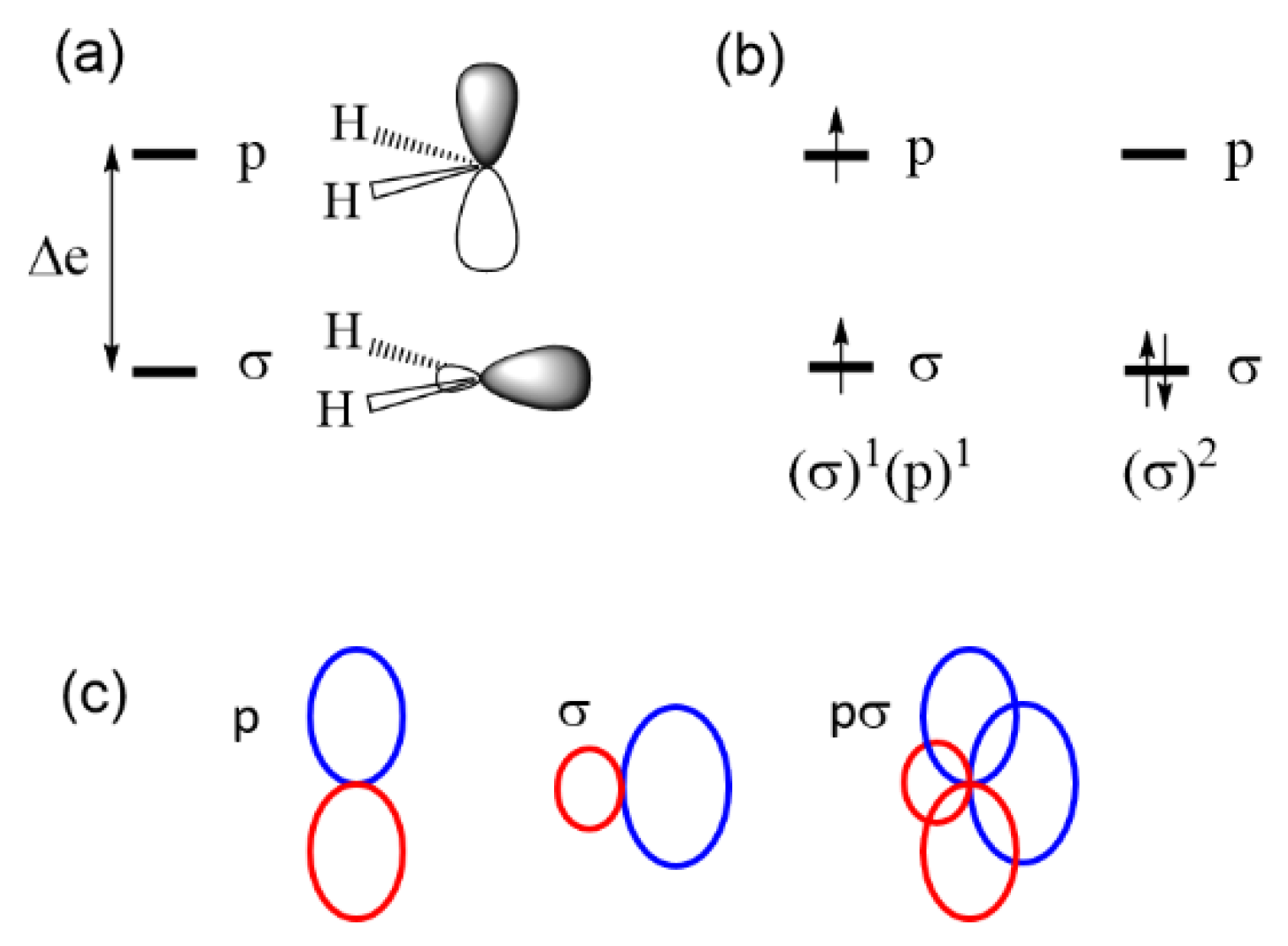 Molecules 25 00867 g004