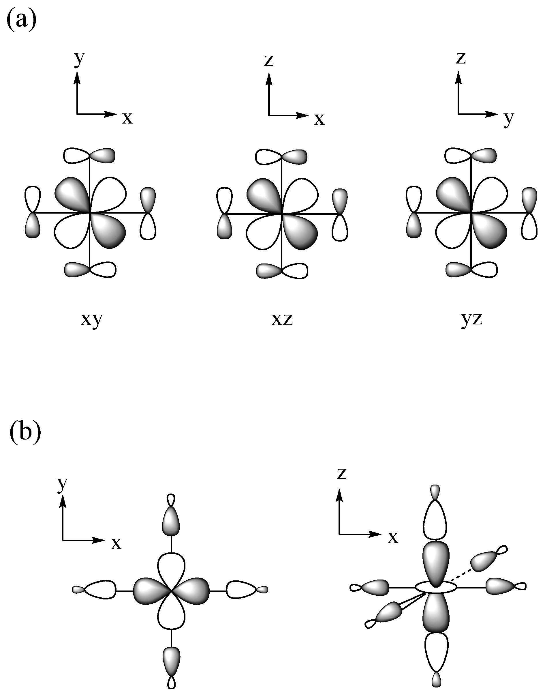 Molecules 25 00867 g013