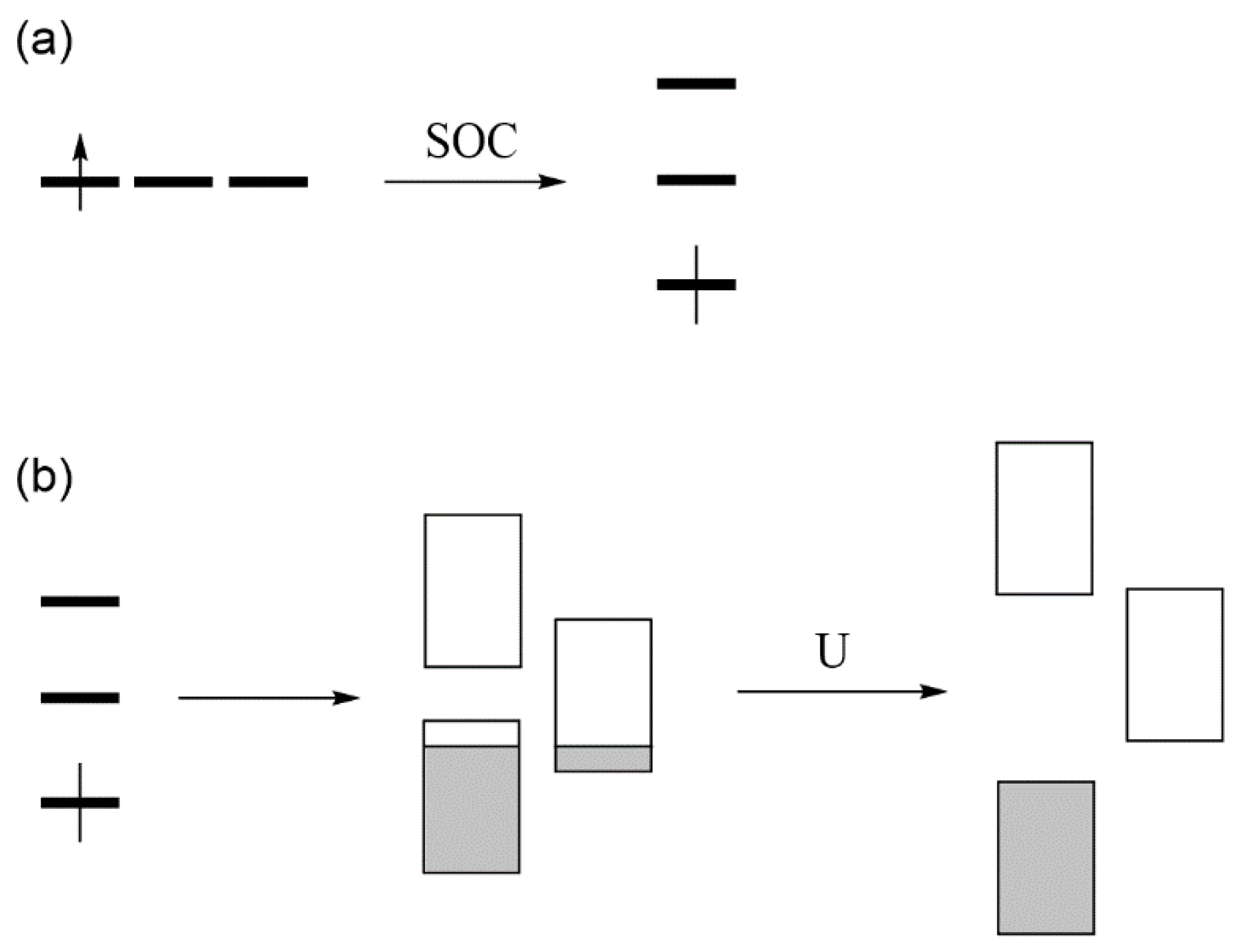Molecules 25 00867 g017