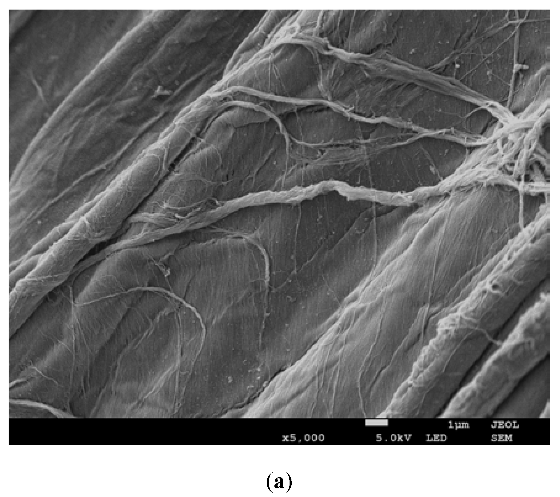 Molecules 25 00872 g002a Molecules 25 00872 g002a