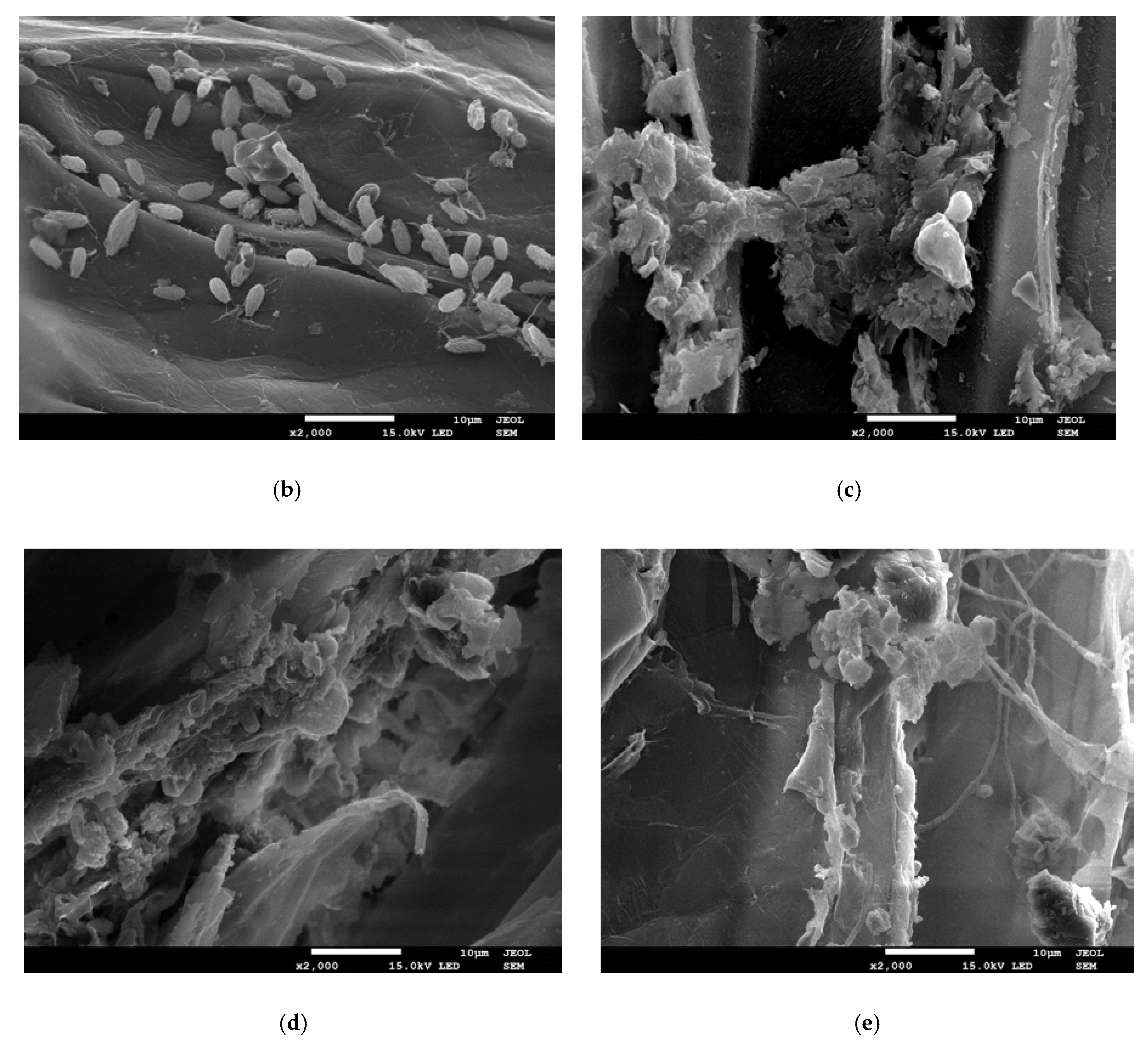 Molecules 25 00872 g002b Molecules 25 00872 g002b