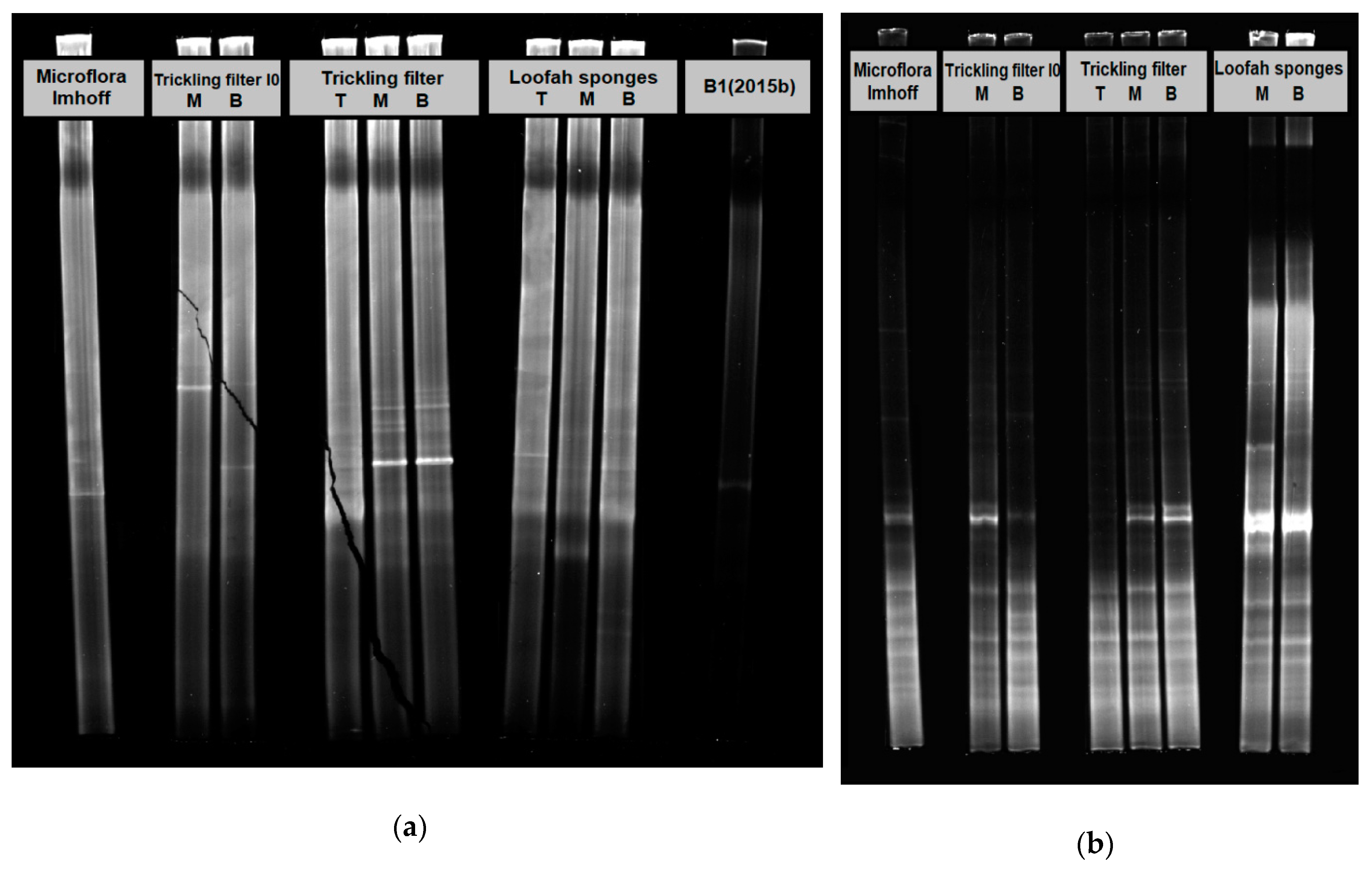 Molecules 25 00872 g003 Molecules 25 00872 g003