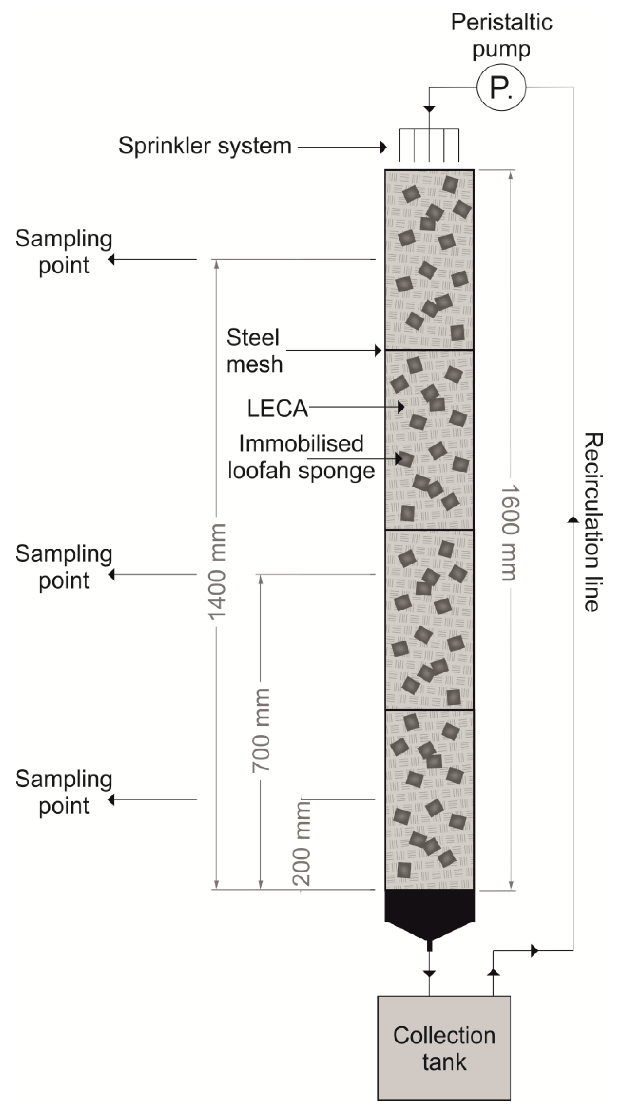 Molecules 25 00872 g004 Molecules 25 00872 g004