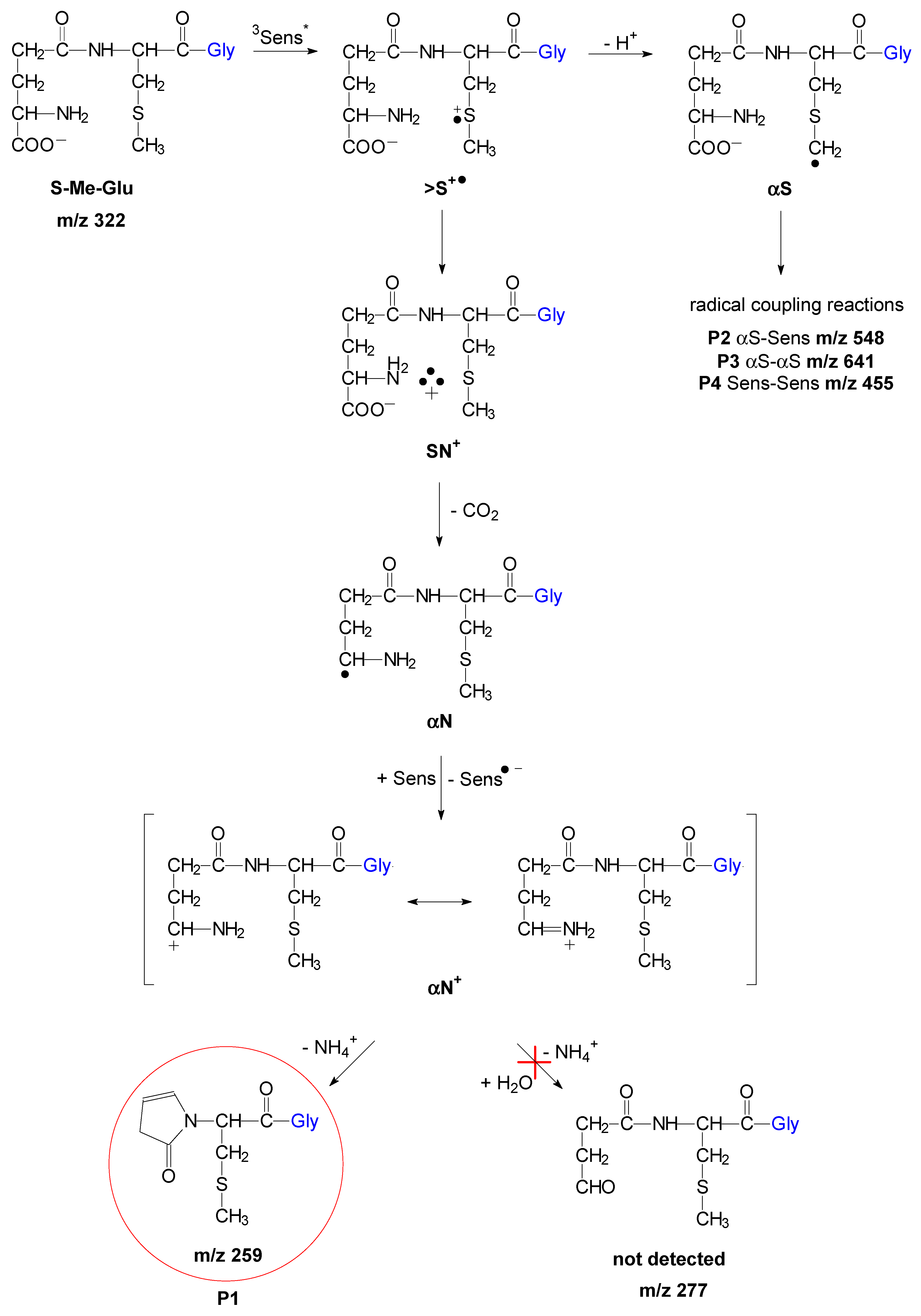 Molecules 25 00877 sch001