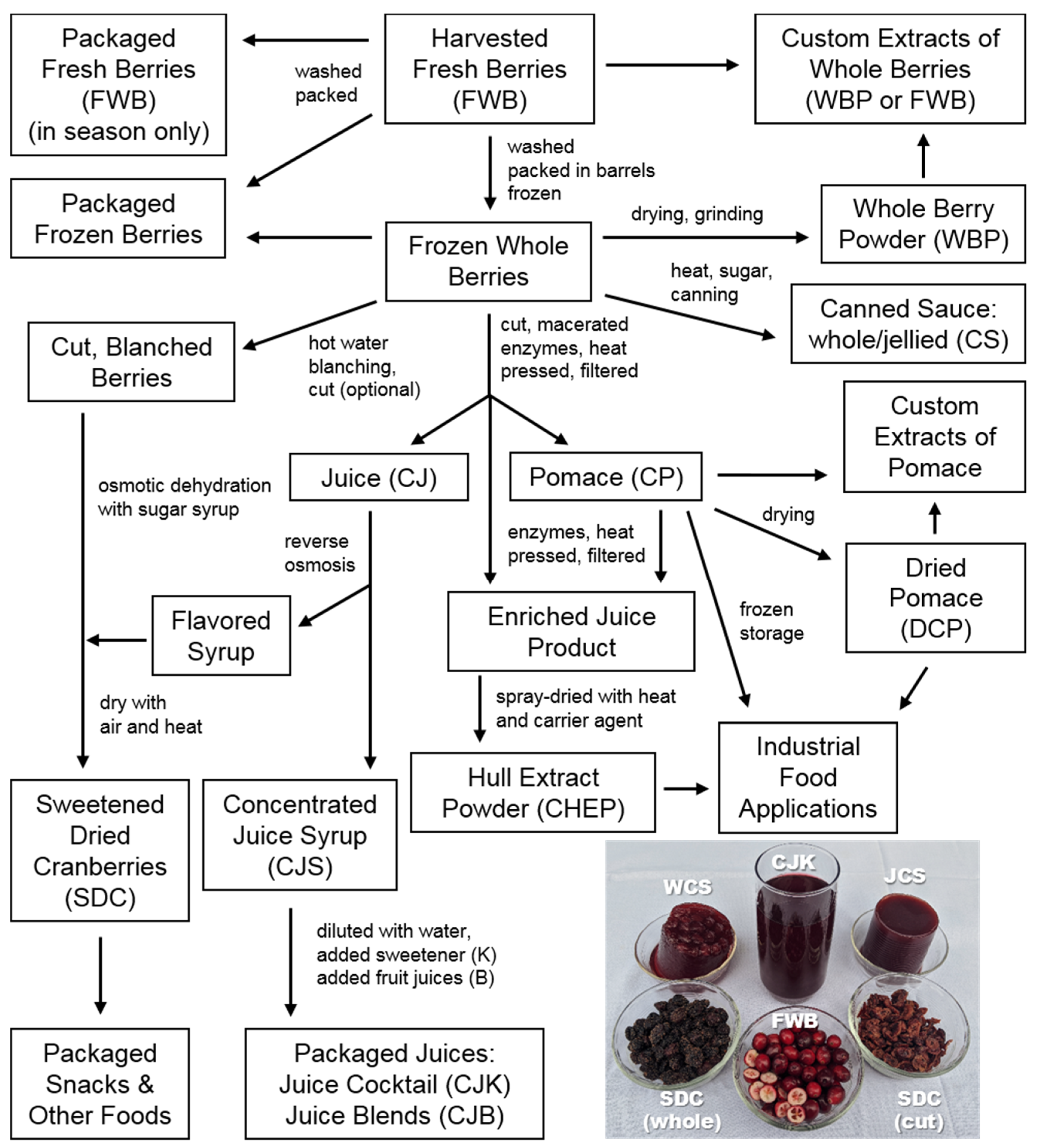 Molecules 25 00881 g005