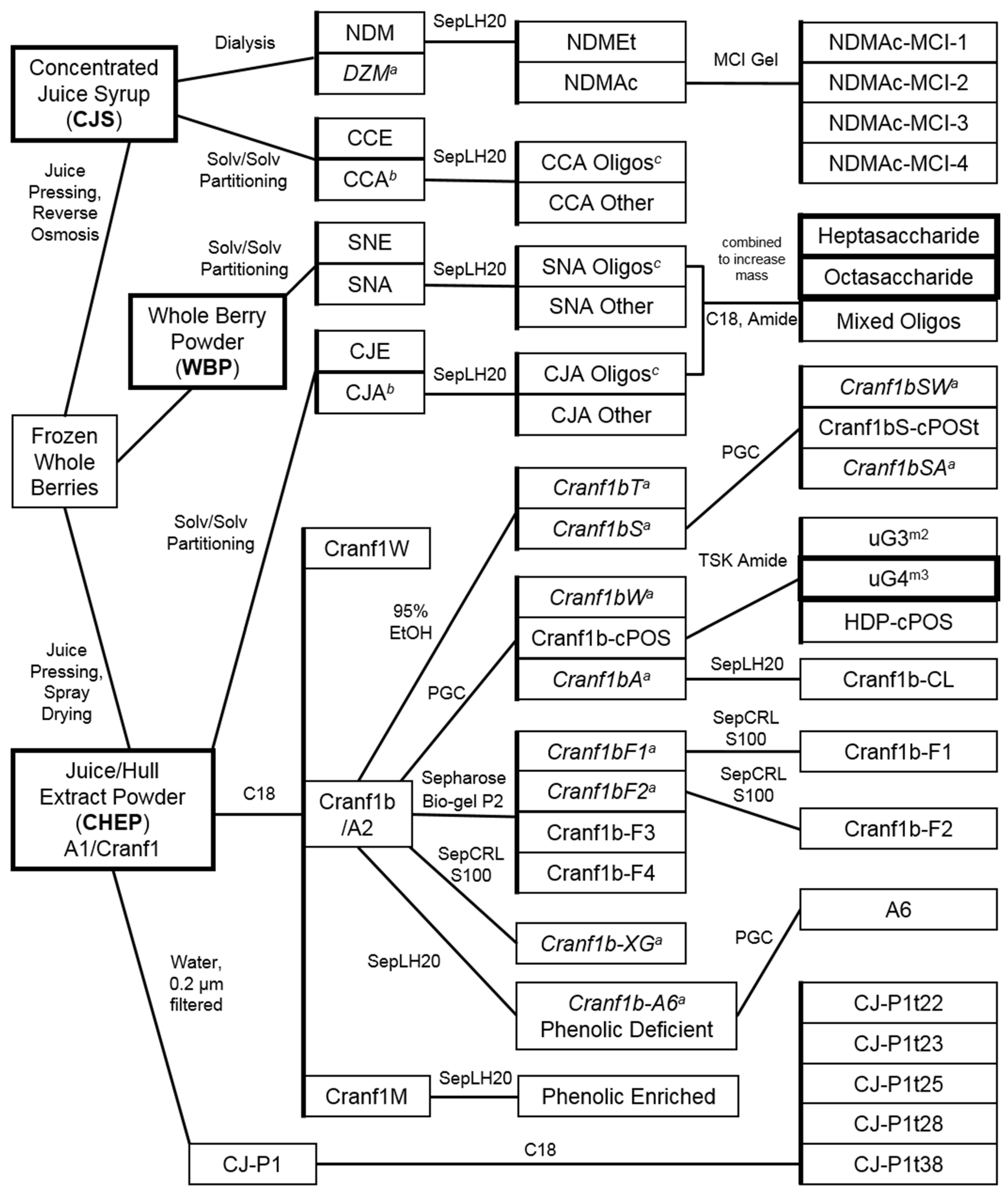 Molecules 25 00881 g008