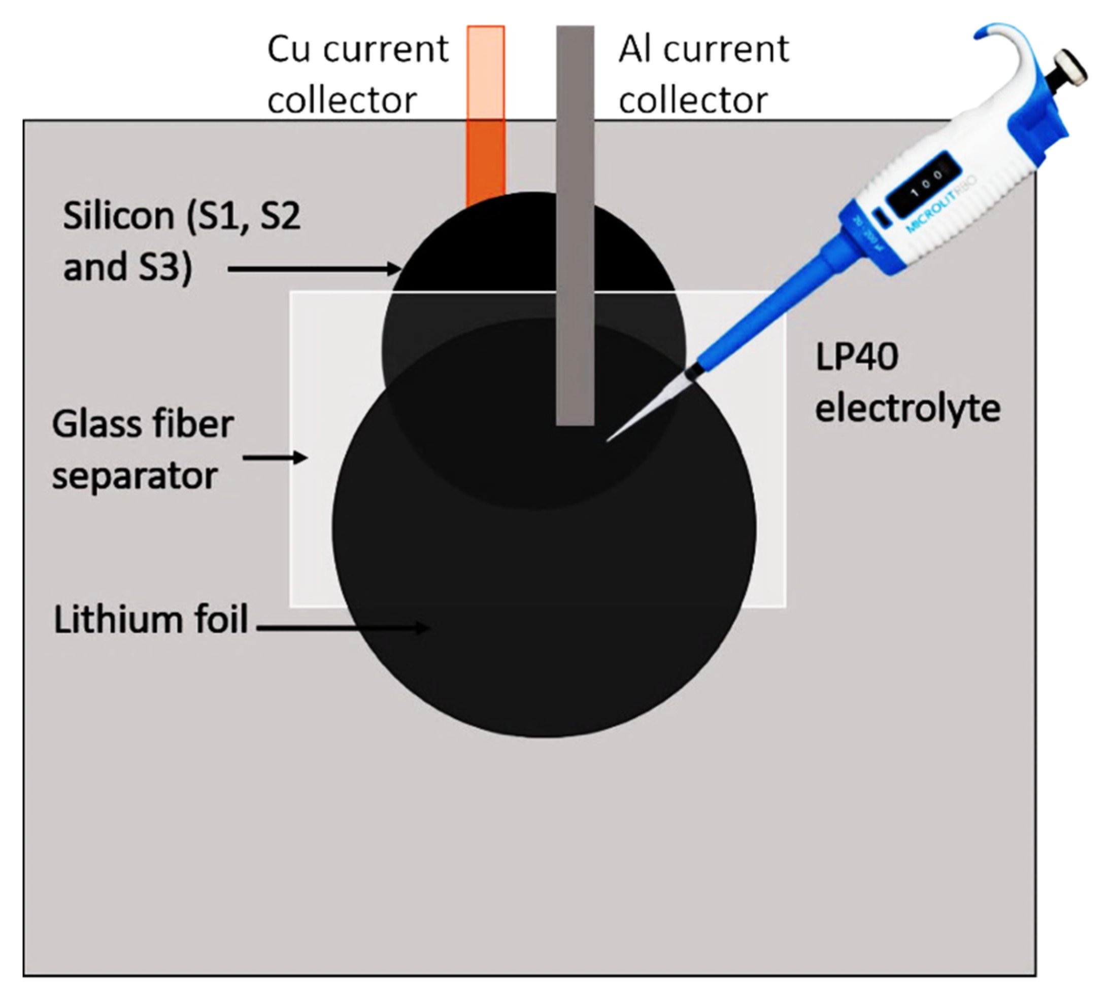 Molecules 25 00891 g012 Molecules 25 00891 g012