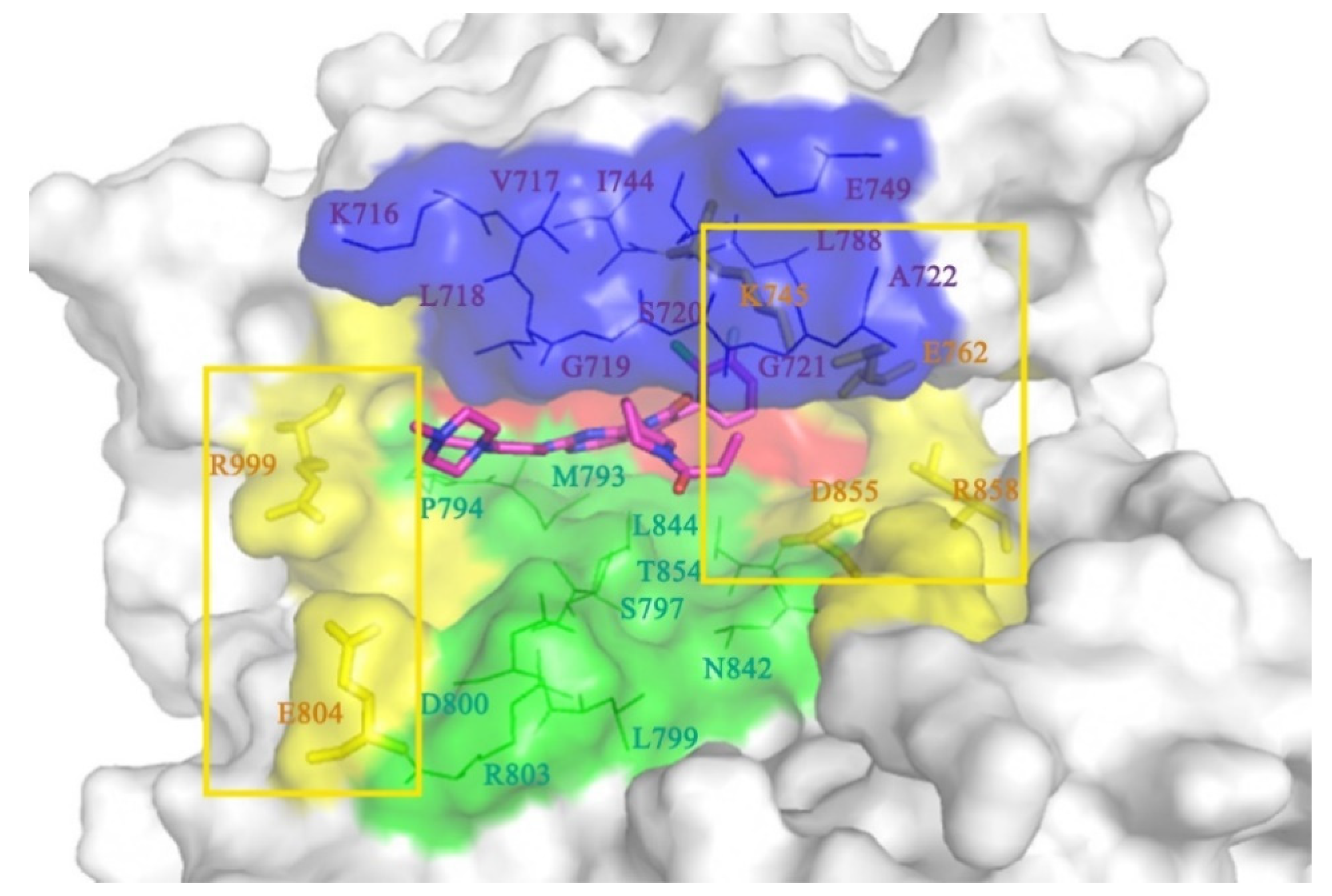Molecules 25 00895 g009 Molecules 25 00895 g009