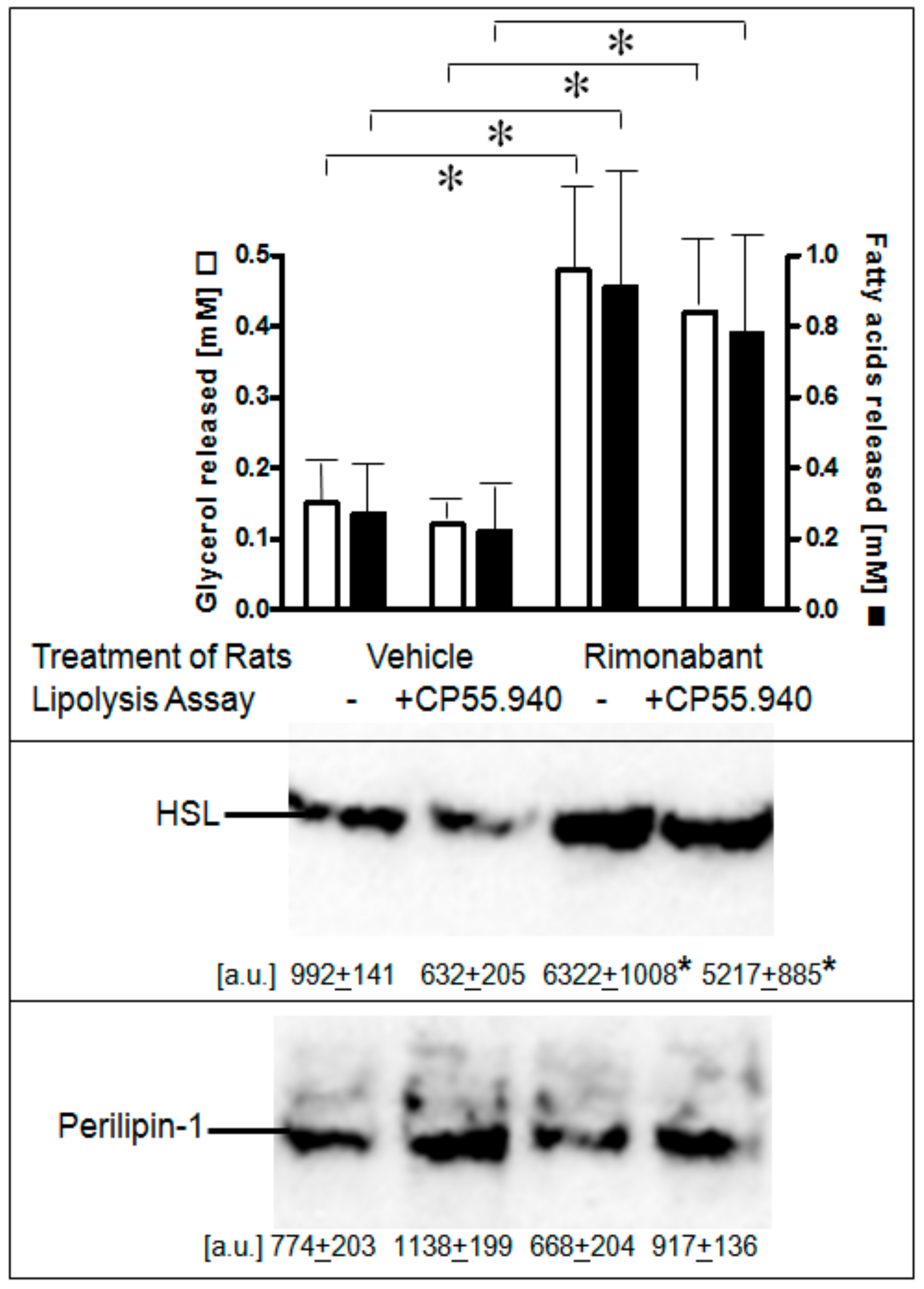 Molecules 25 00896 g006