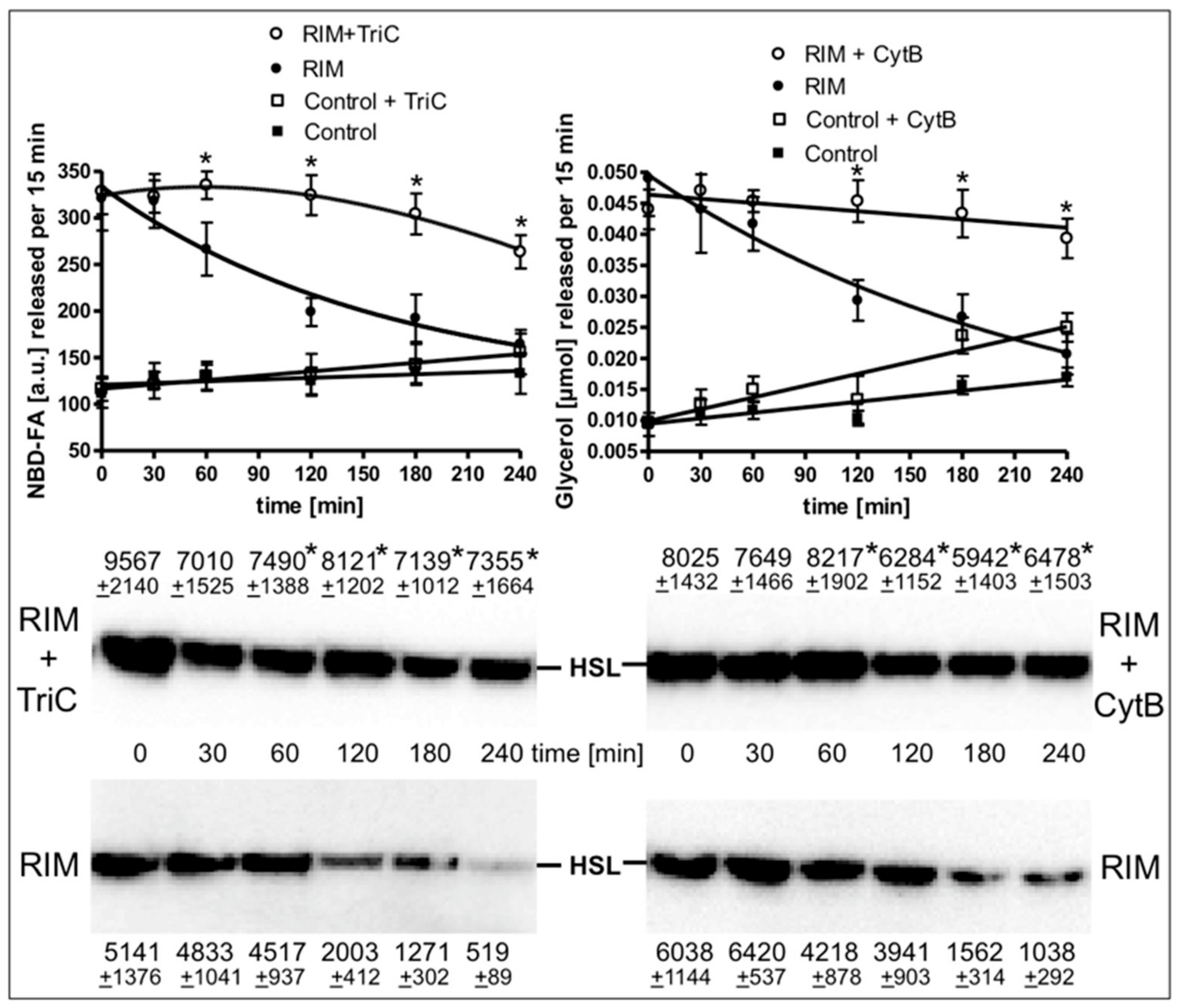 Molecules 25 00896 g007