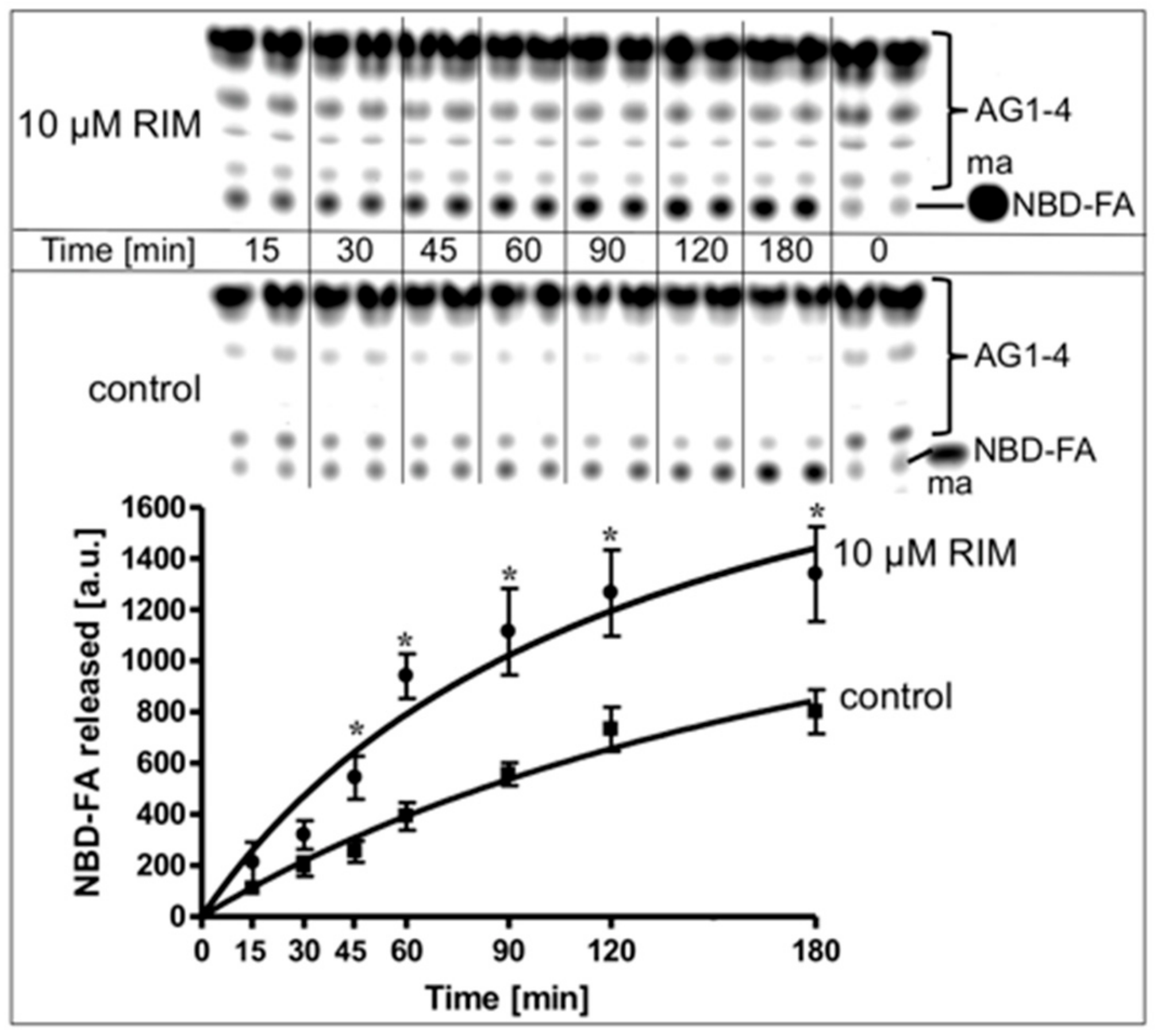 Molecules 25 00896 g008