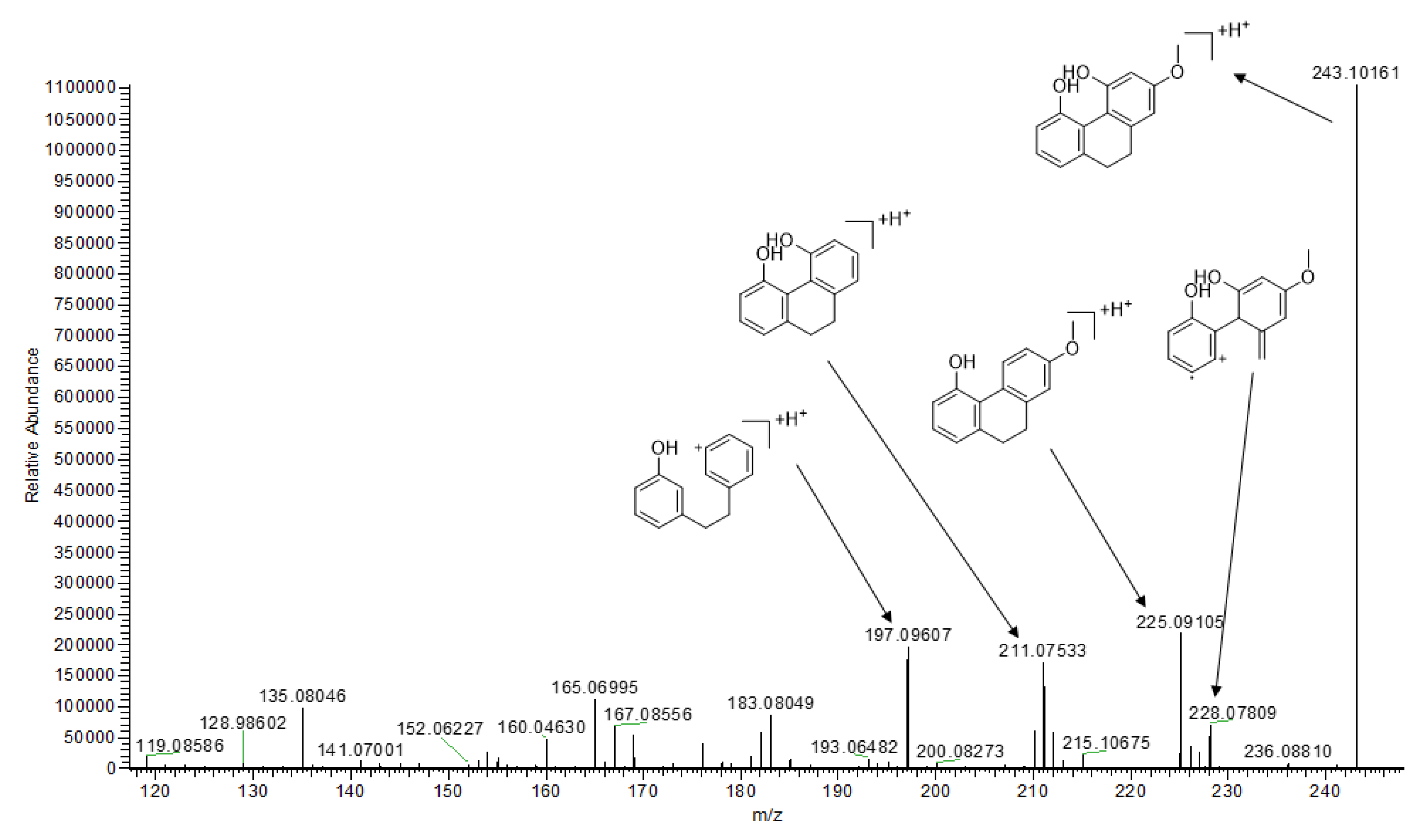 Molecules 25 00898 g005