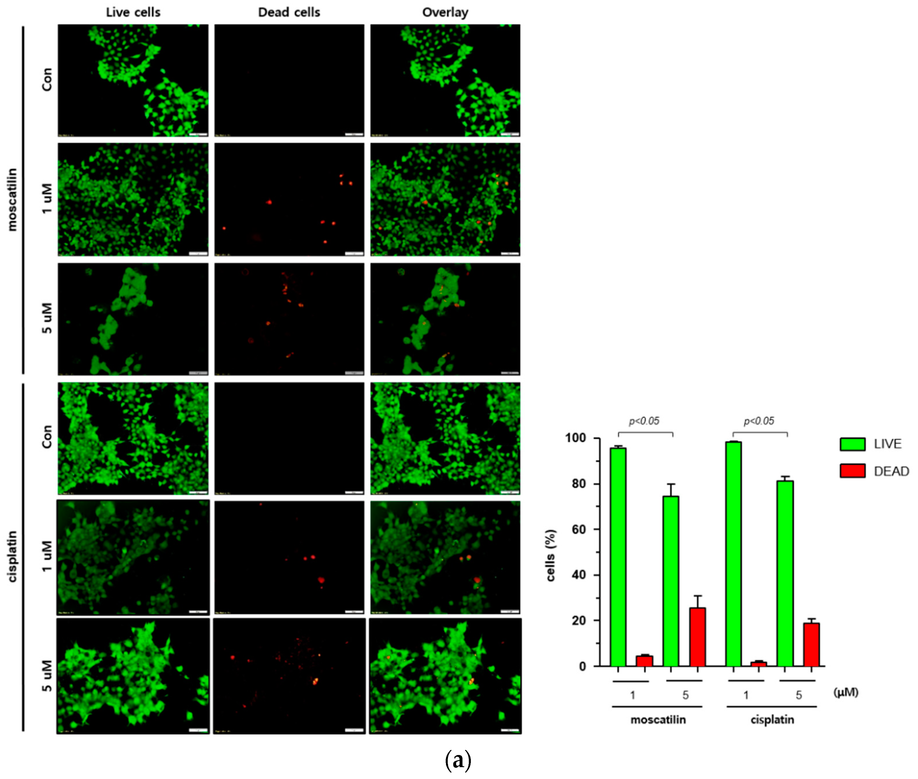 Molecules 25 00901 g002a