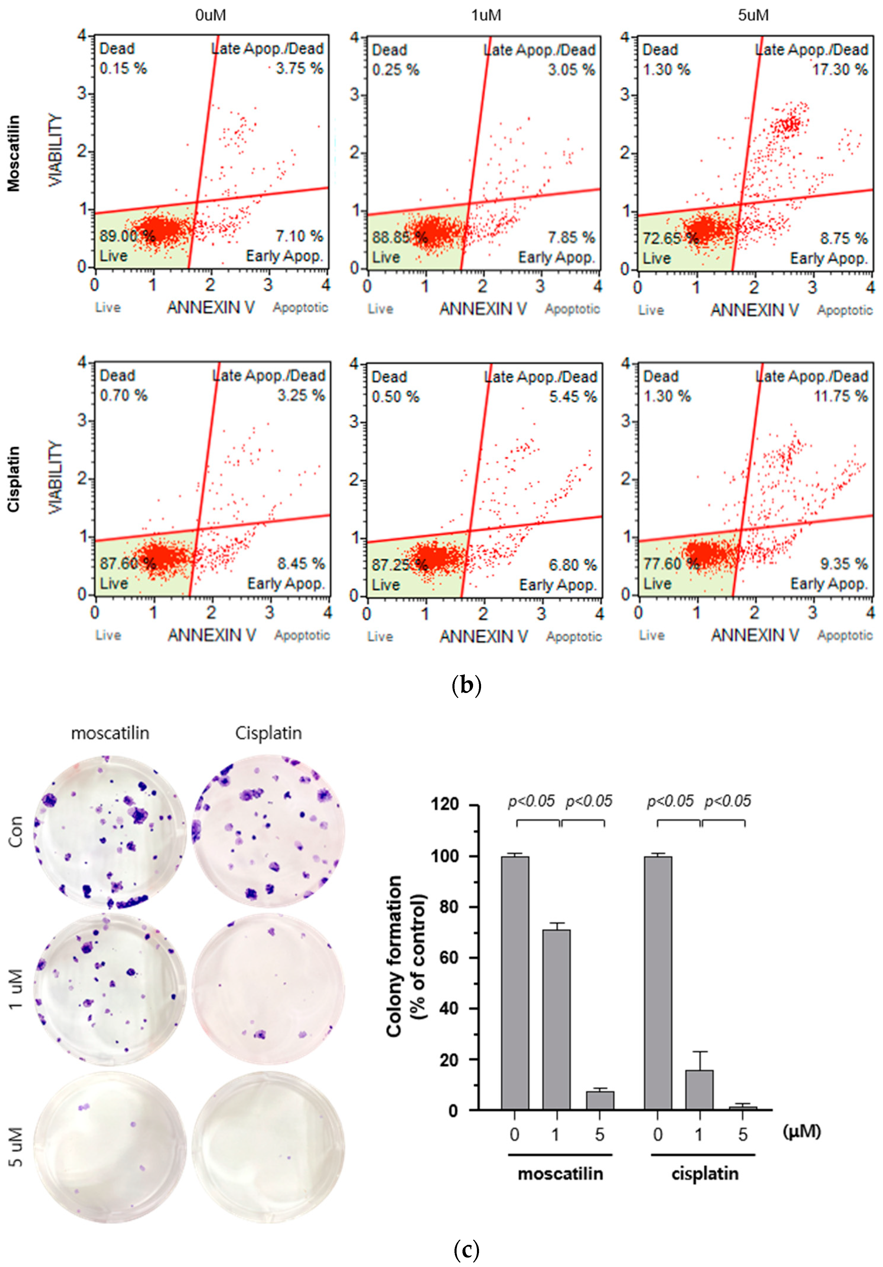 Molecules 25 00901 g002b