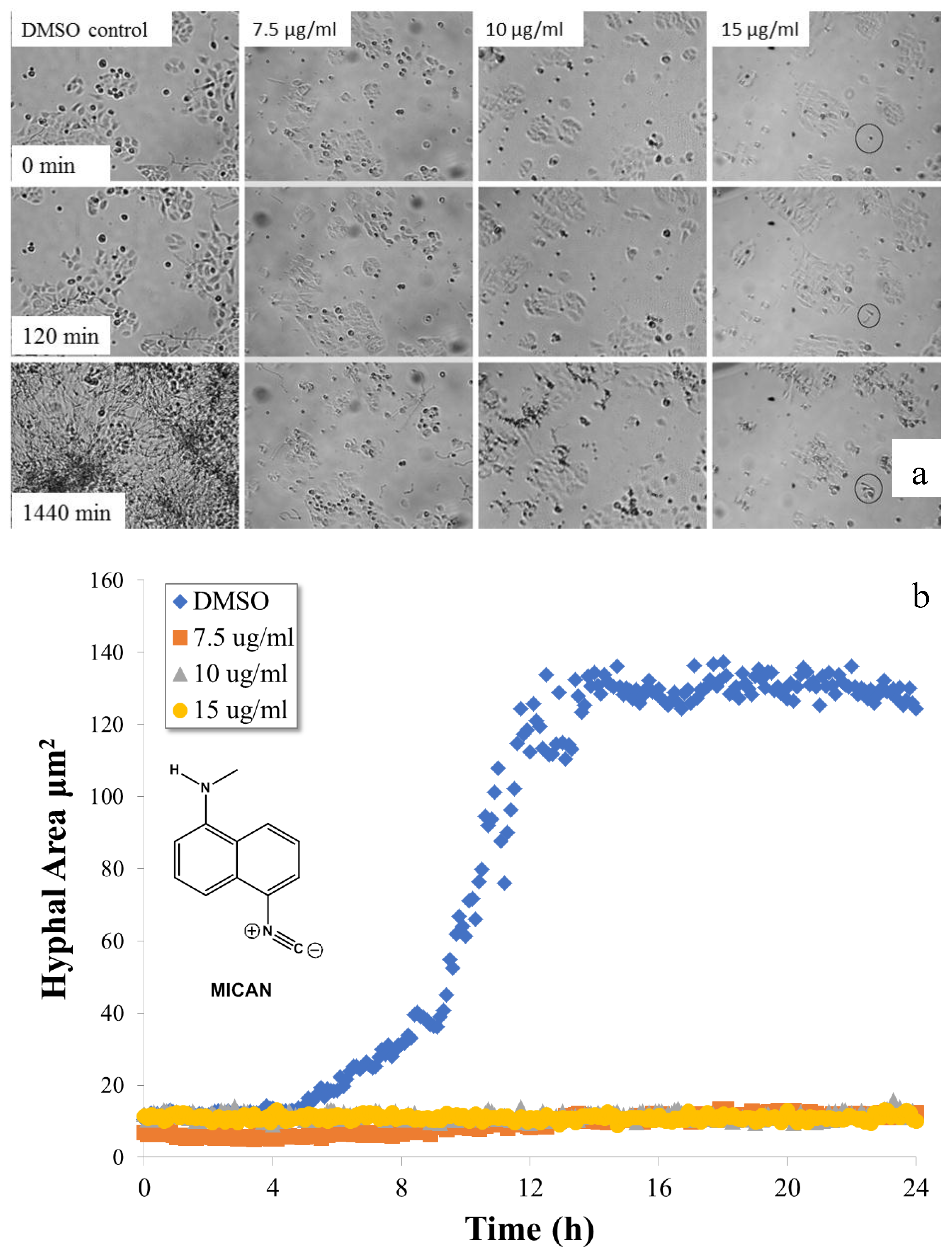 Molecules 25 00903 g001