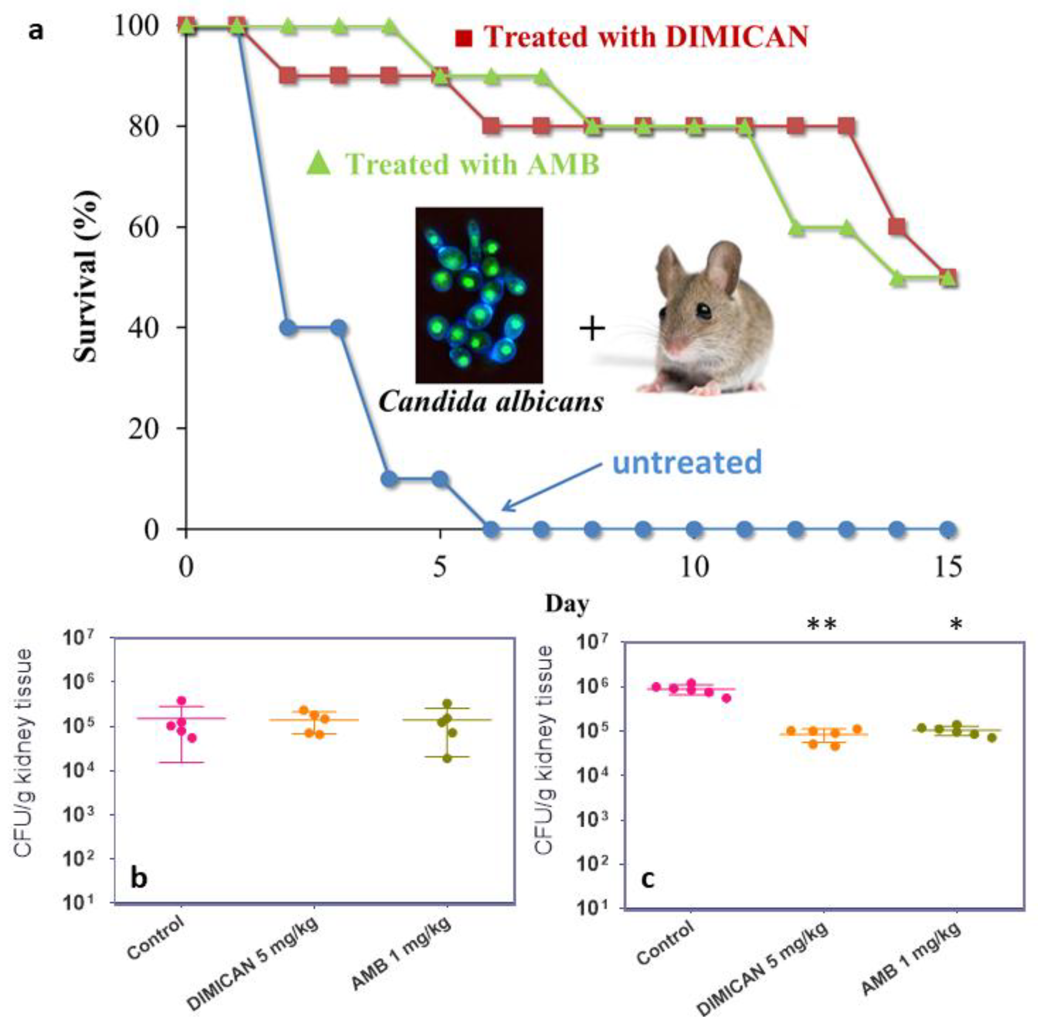 Molecules 25 00903 g003