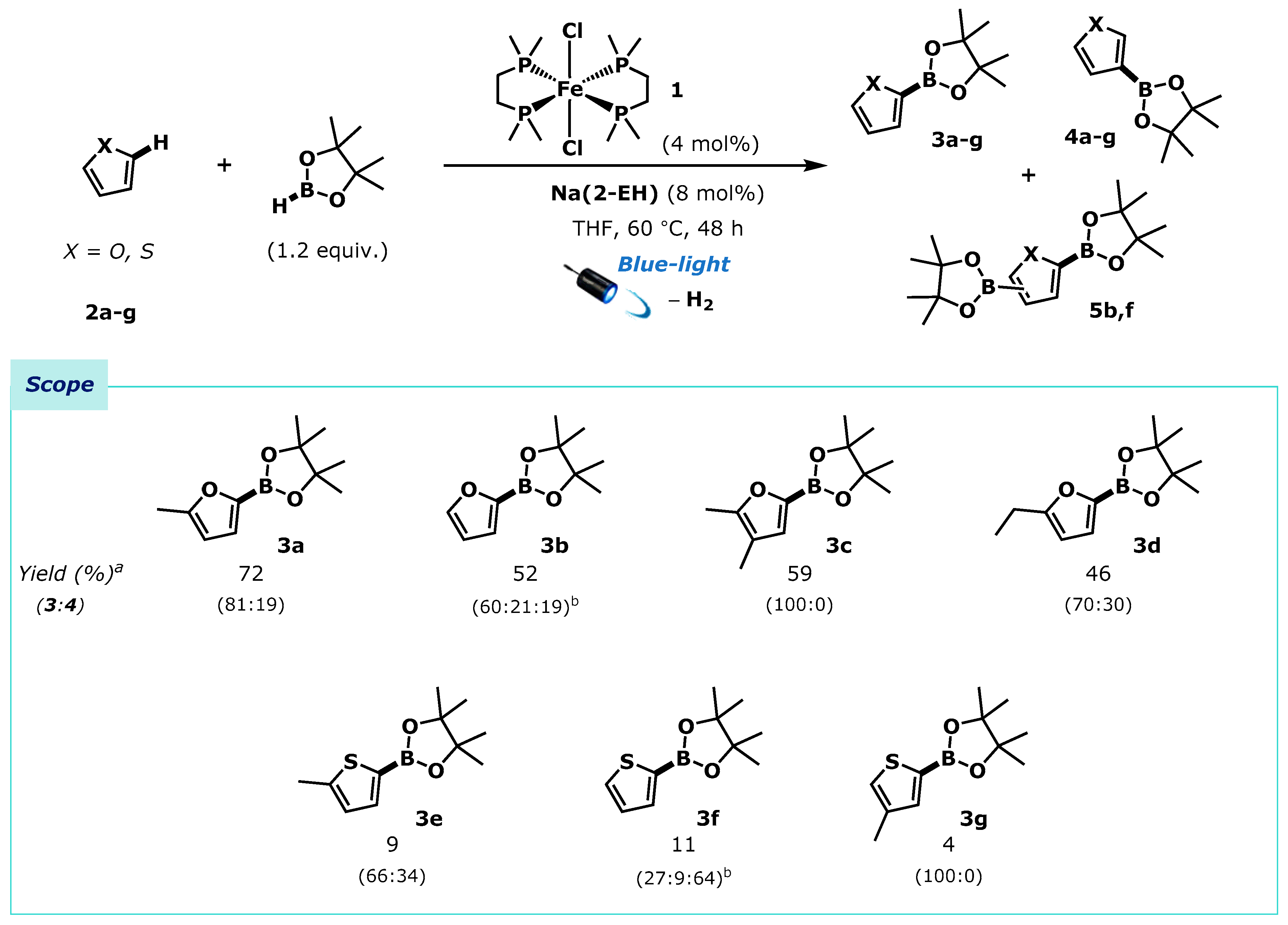 Molecules 25 00905 sch003