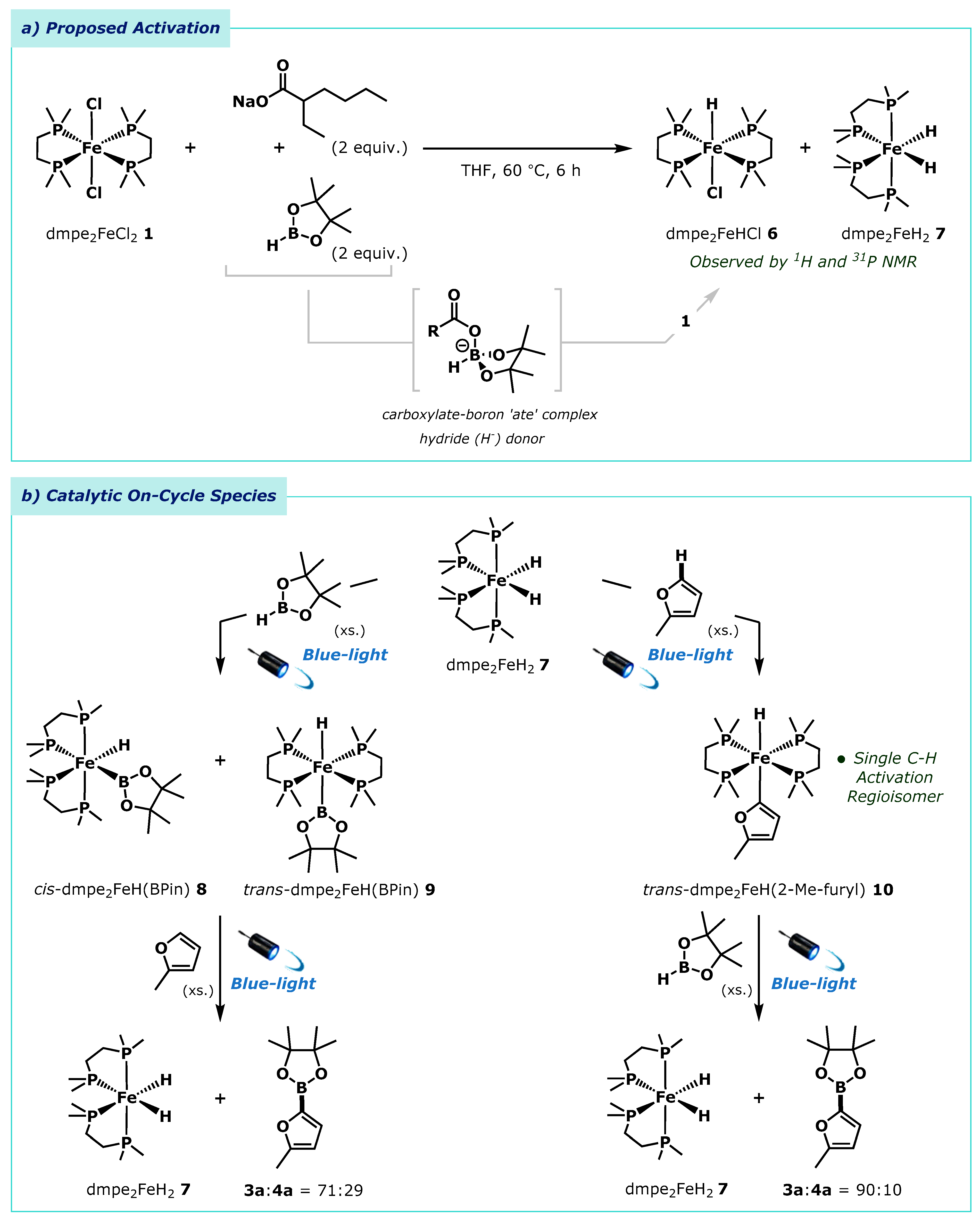 Molecules 25 00905 sch004