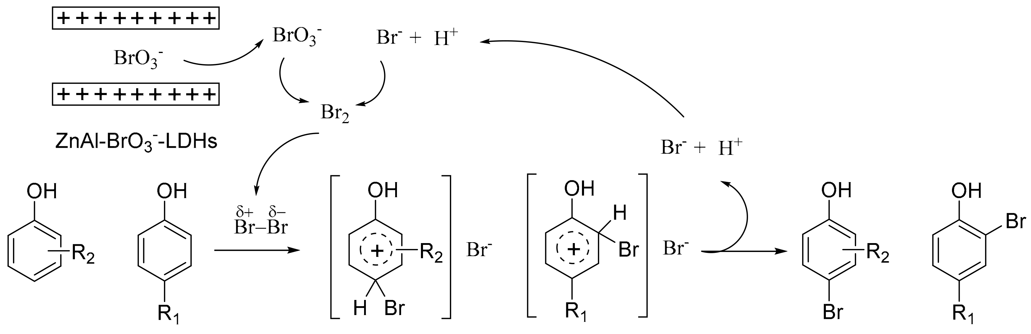 Molecules 25 00914 g003