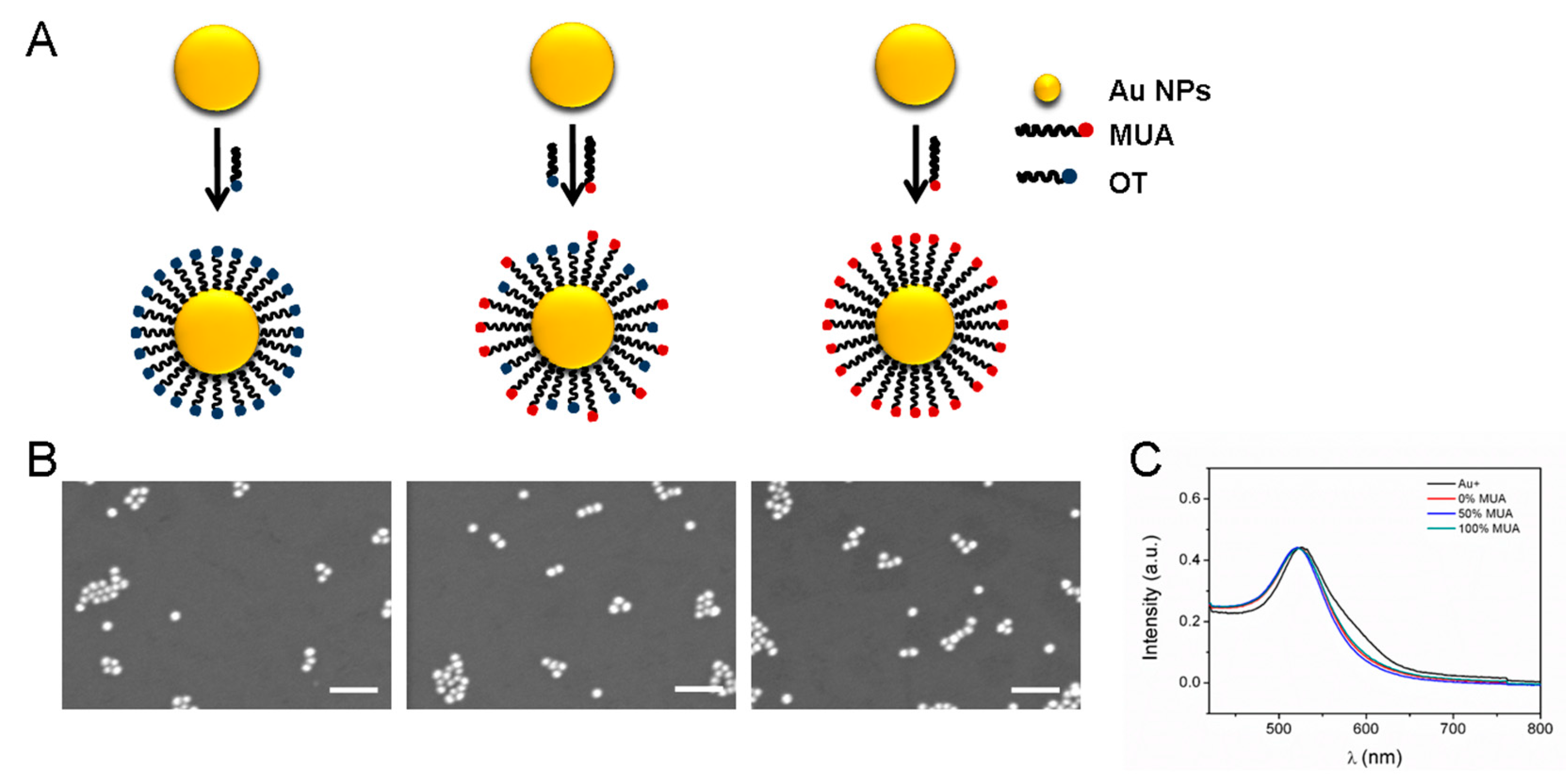 Molecules 25 00919 g001